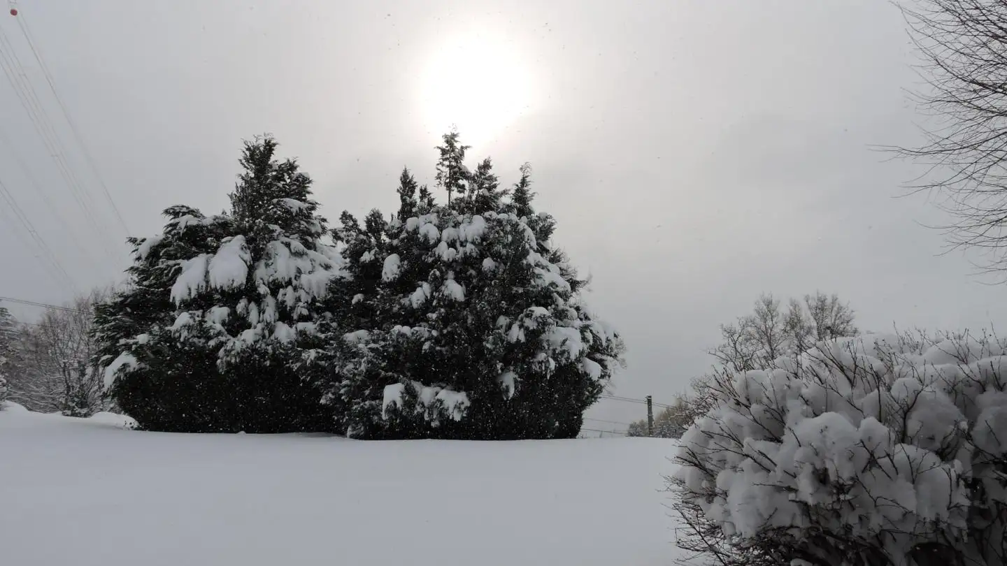 Single house for sale - 1807 Blonay - Photo 4