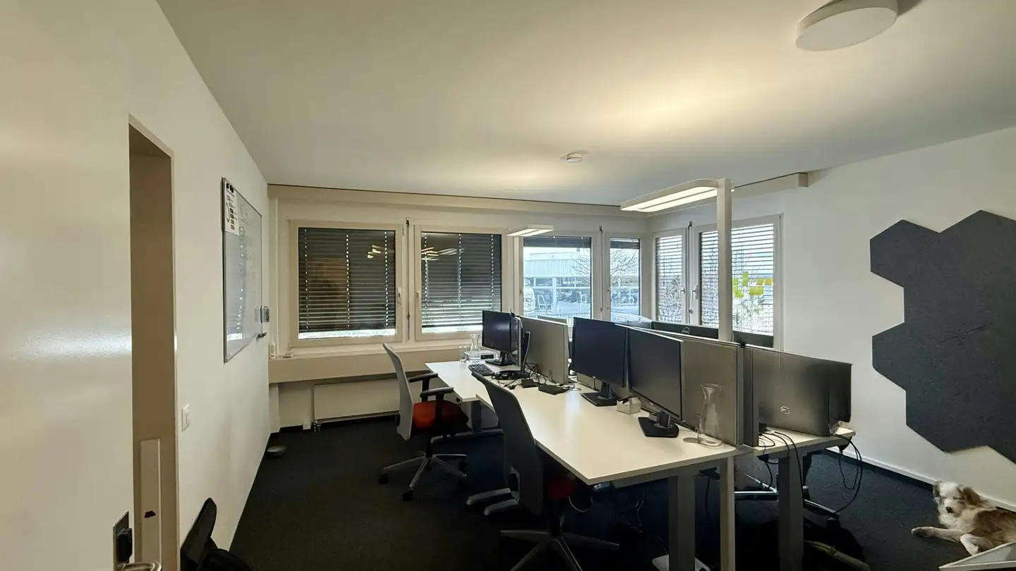 Spazio ufficio in affitto - Harzachstrasse 5, 8404 Winterthur - Foto 4