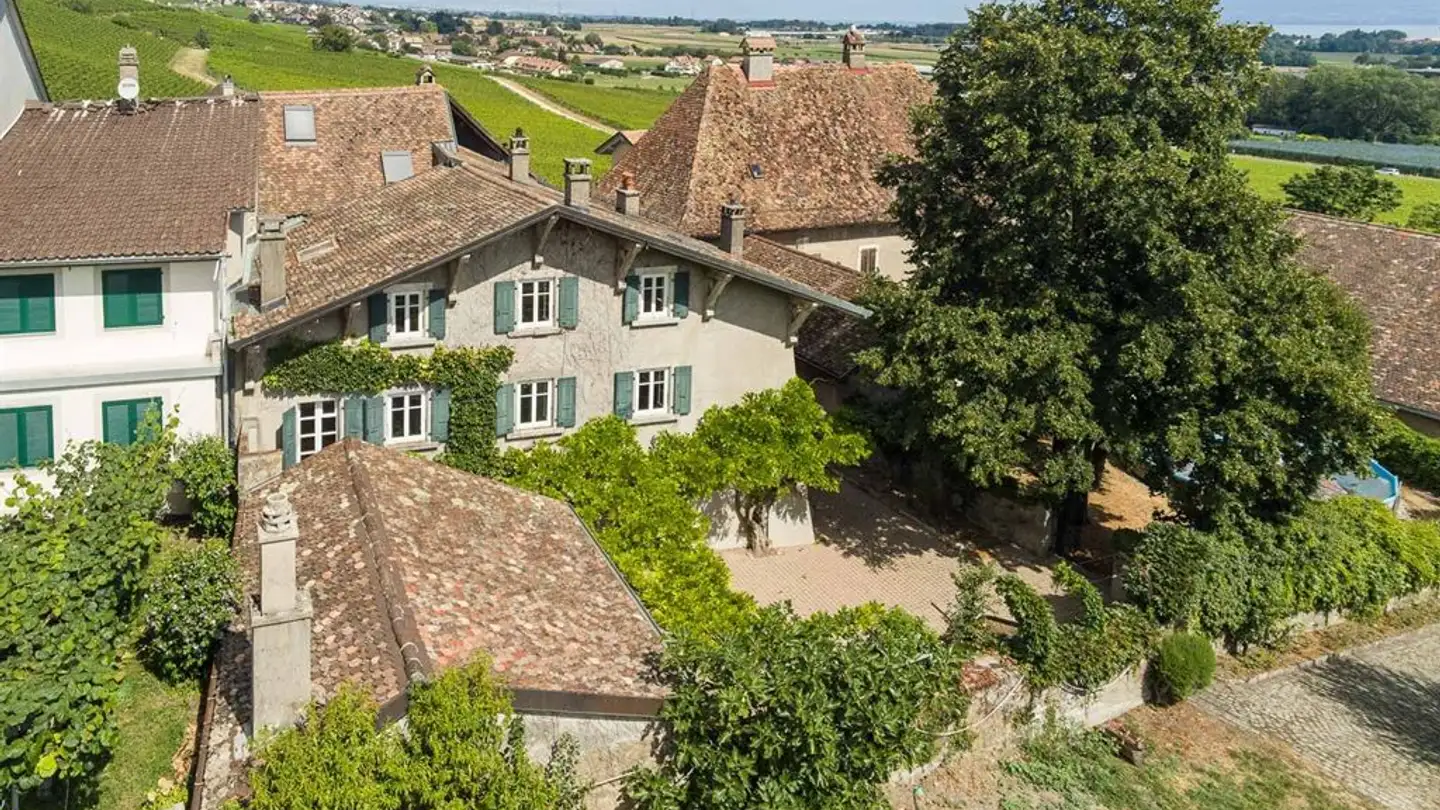 Einfamilienhaus kaufen - 1184 Luins