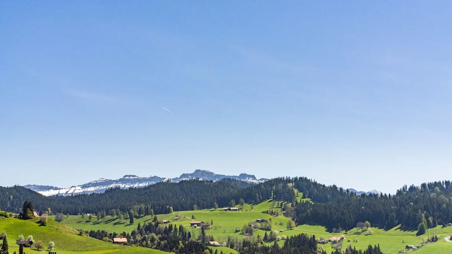 Maison individuelle à vendre - Farneren 29, 3624 Goldiwil (Thun) - Photo 2