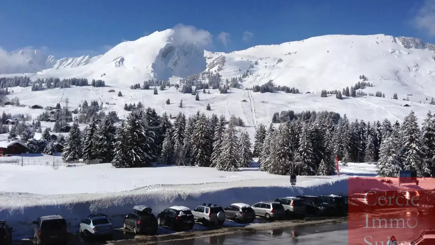Hotel in vendita - 1854 Leysin - Photo 3