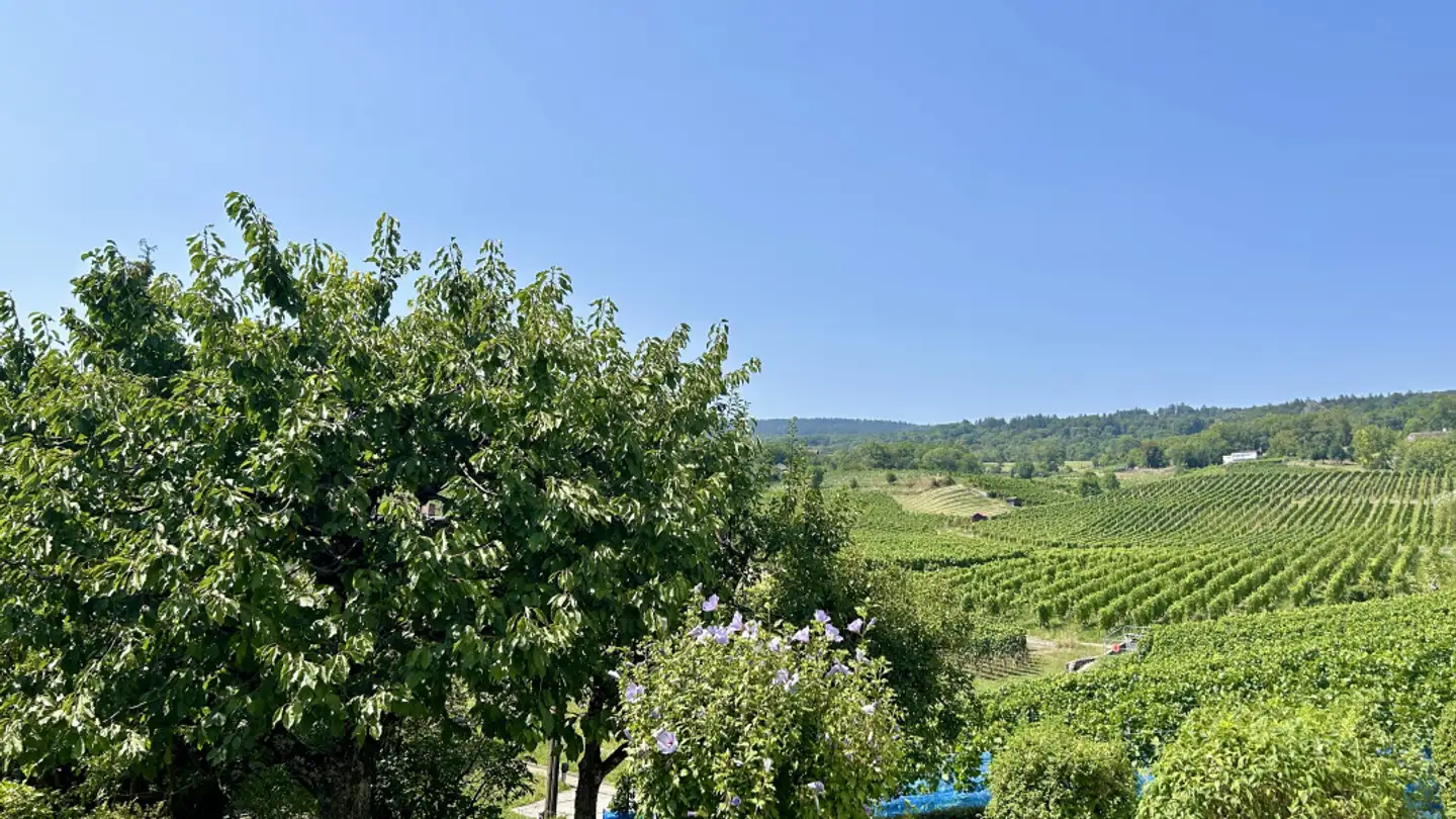 Appartement à vendre - 2525 Le Landeron