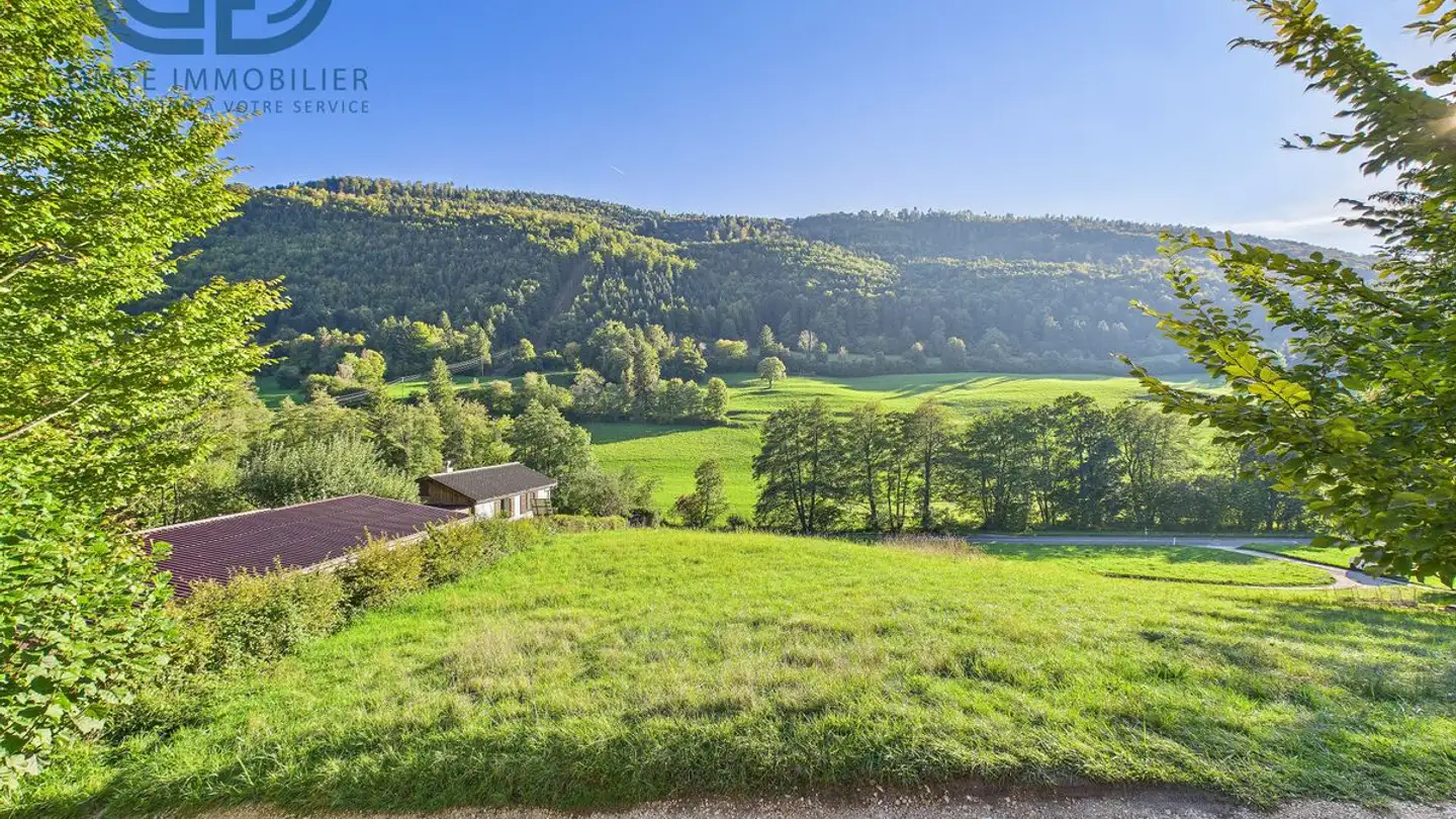 Chalet for sale - Champs Renaud 1h, 2863 Undervelier - Photo 3