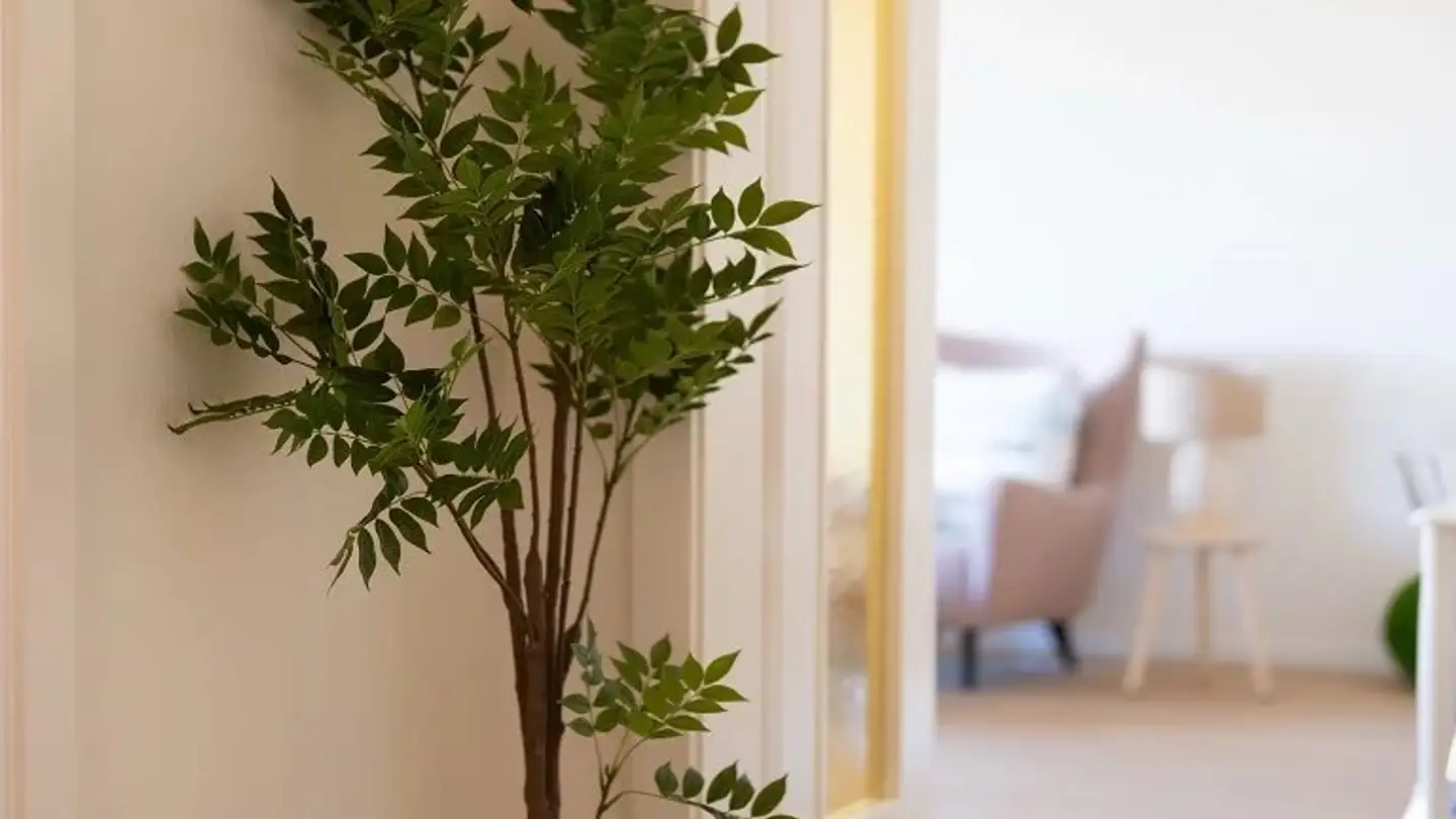 Appartamento in affitto - Route De Florissant 62, 1206 Genève - Foto 4