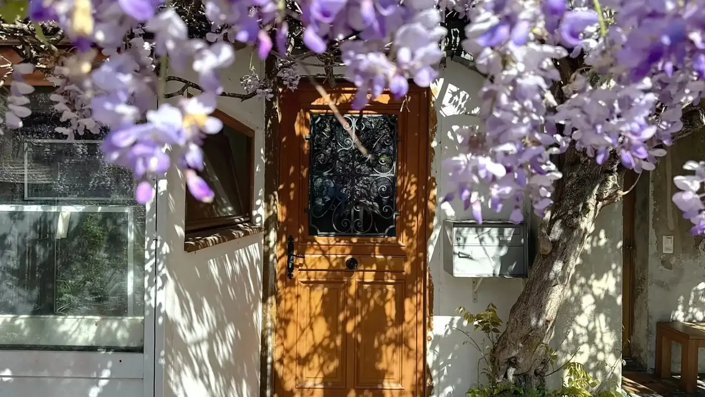 Casa singola in vendita - 1236 Cartigny - Photo 2