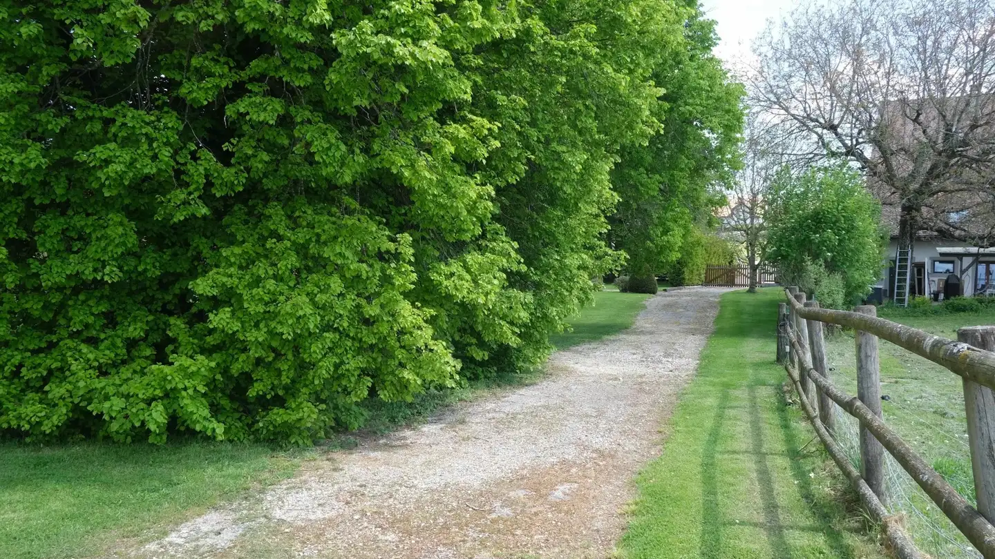 Constructible plot for sale - 1418 Vuarrens - Photo 4