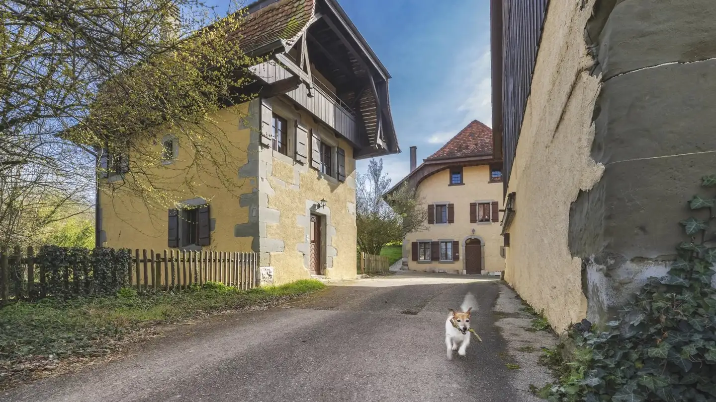 Casa singola in vendita - 1564 Domdidier - Photo 2