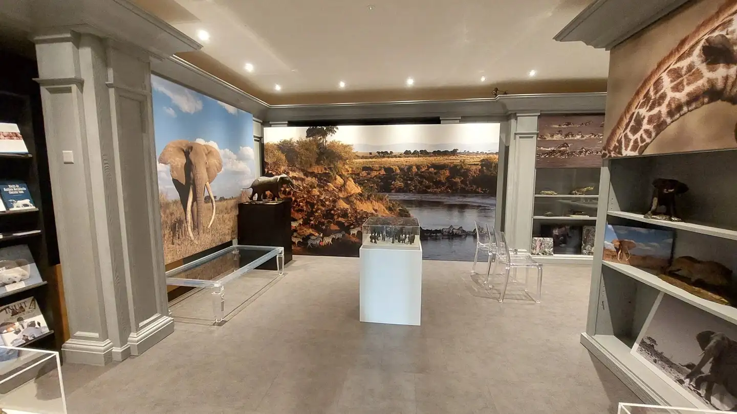 Shop for sale - 3963 Crans-Montana - Photo 3