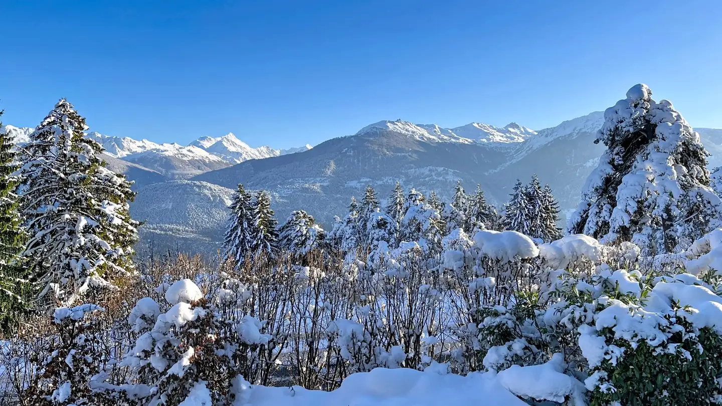 Chalet kaufen - 3963 Montana