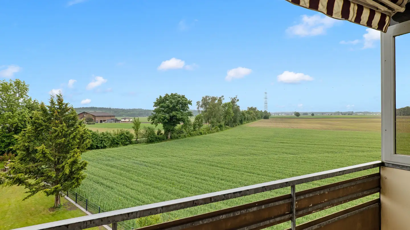 Appartement à vendre - Finkenweg 12, 3380 Wangen an der Aare - Photo 2