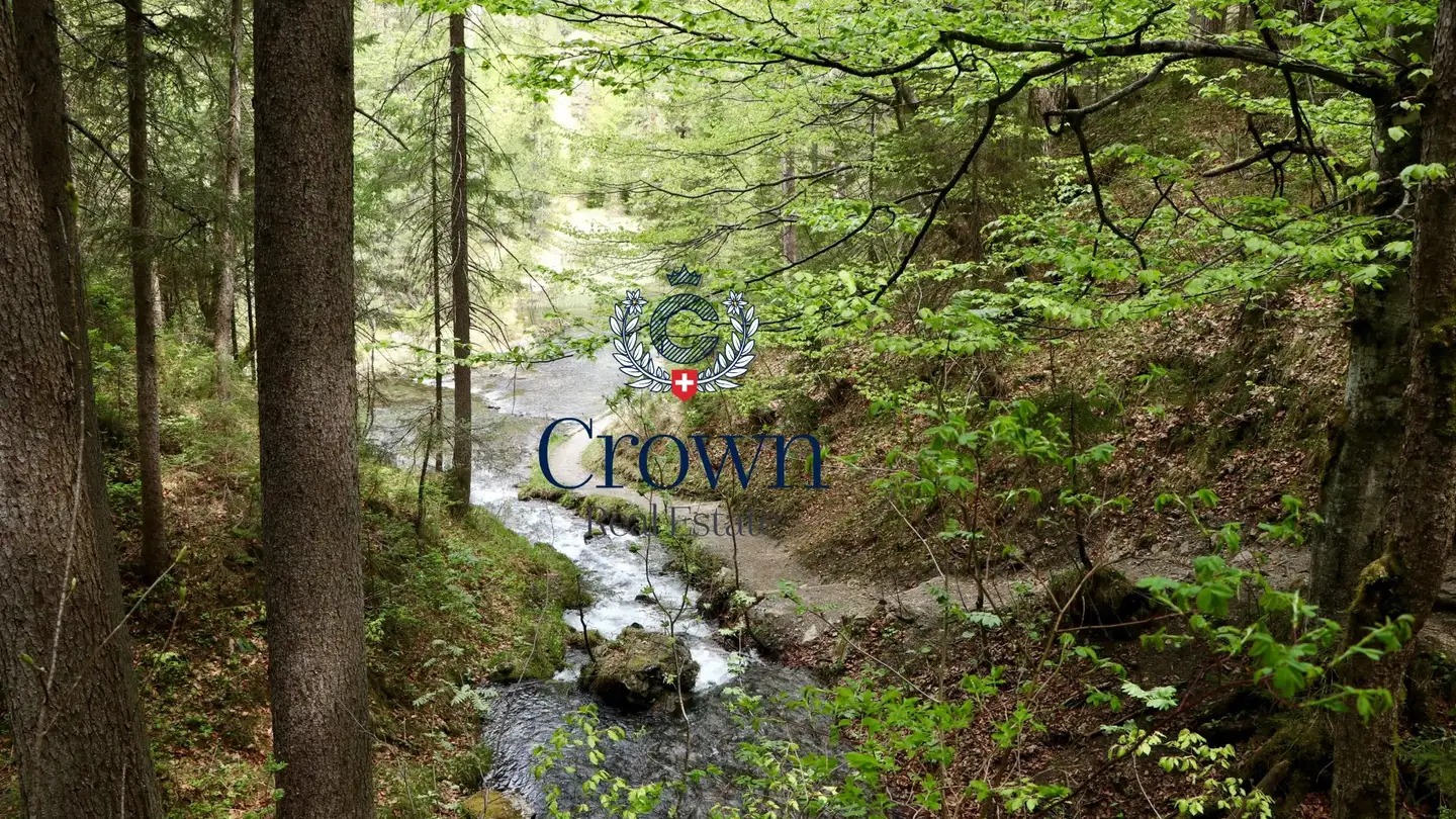 Maison individuelle à vendre - 1293 Bellevue