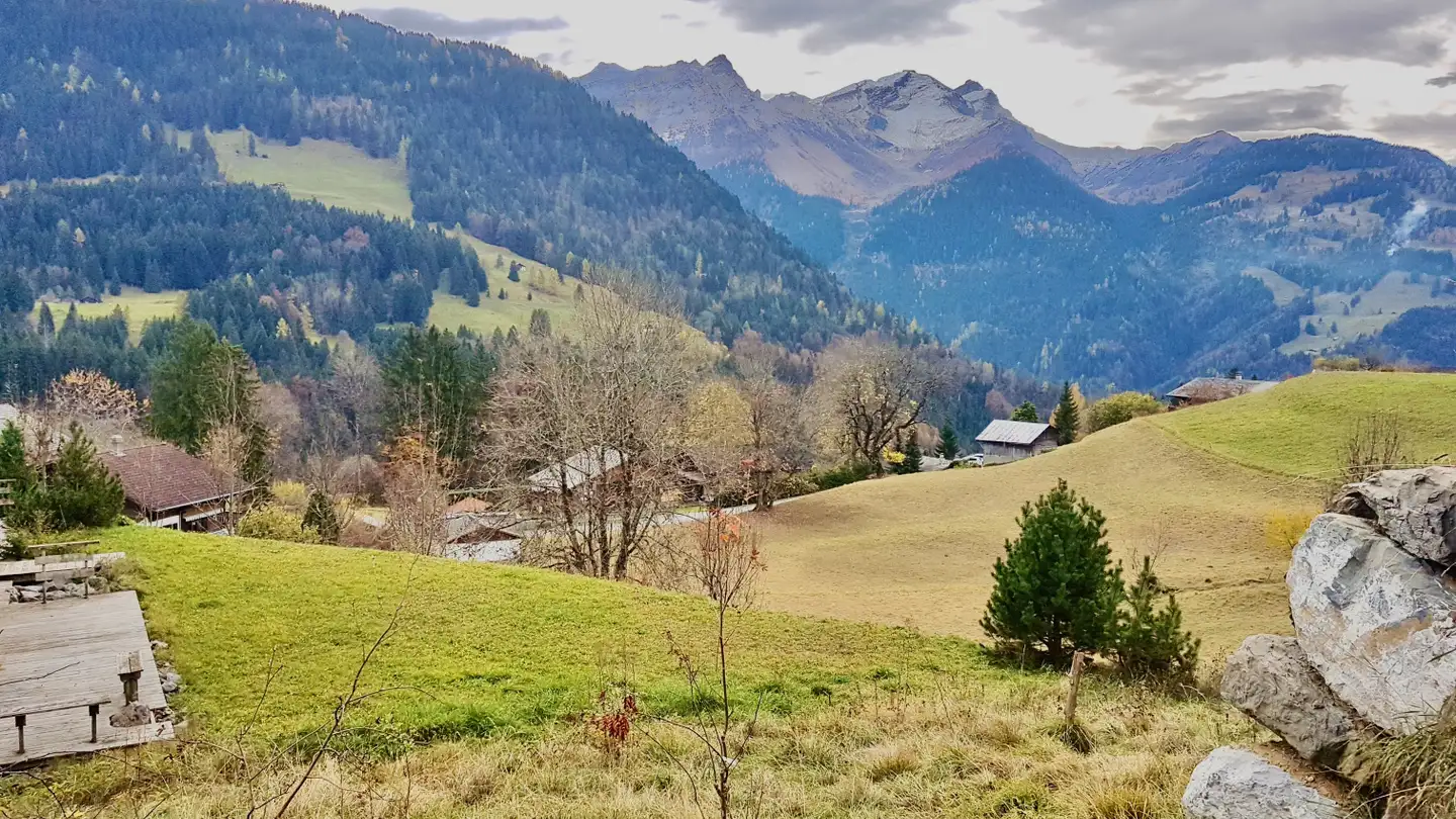 Terreno edificabile in vendita - 1882 Gryon