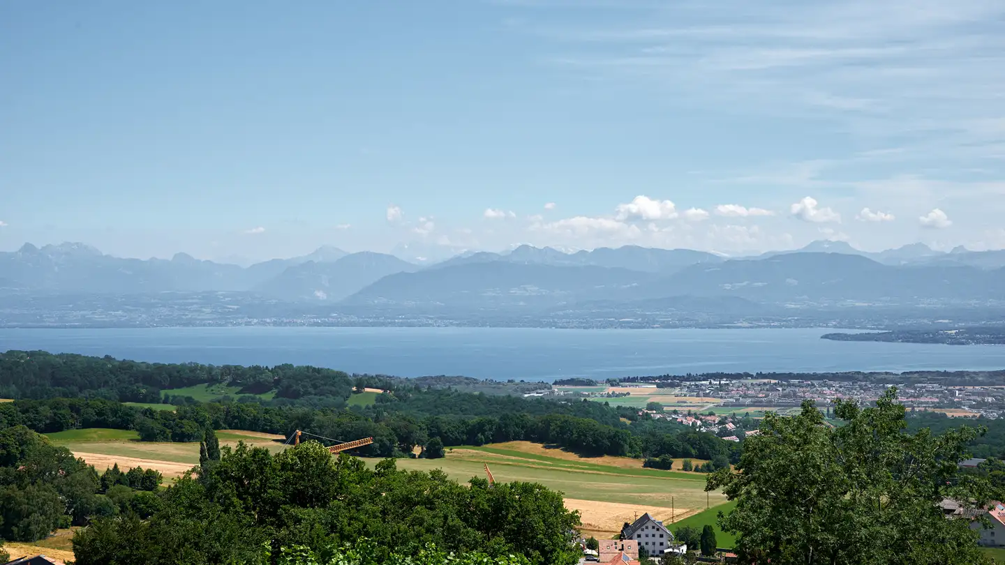Casa singola in vendita - Route De Le Muids, 1273 Arzier-Le Muids - Photo 4