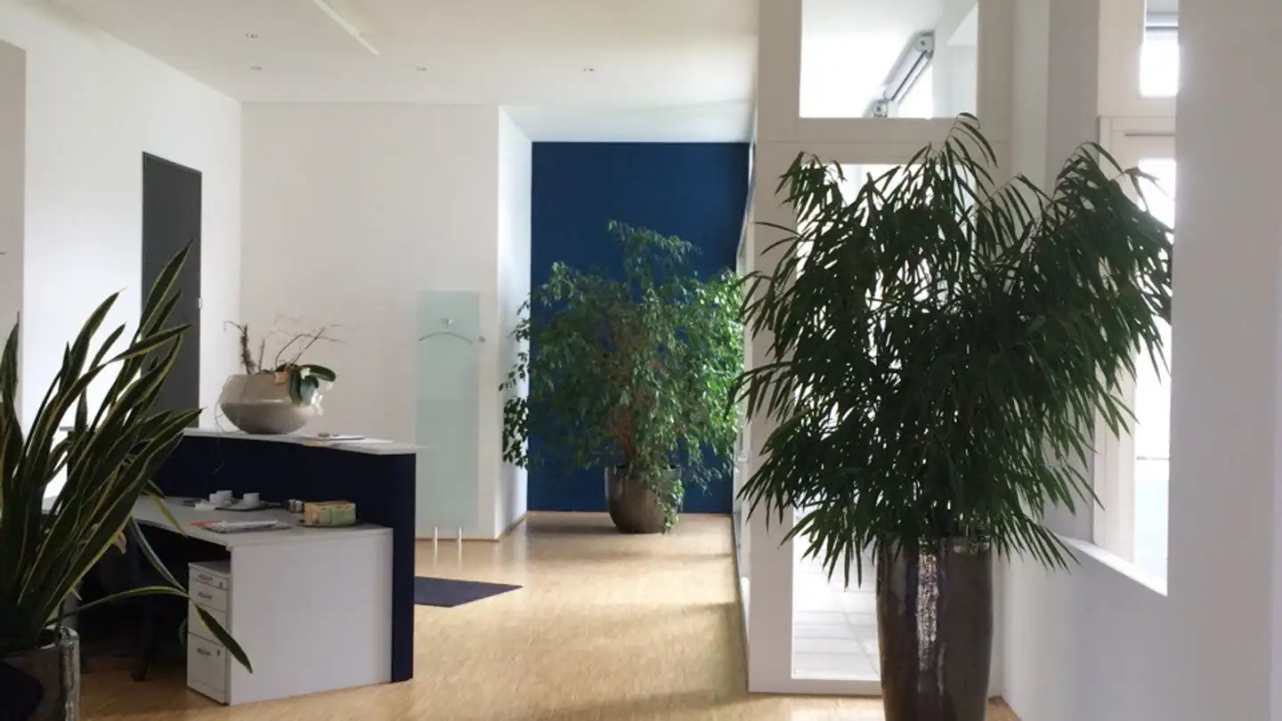 Spazio ufficio in vendita - Bahnhofstrasse 20, 8272 Ermatingen - Photo 3