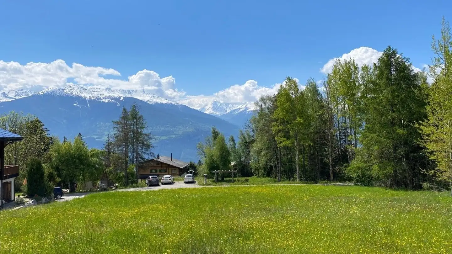 Terrain constructible à vendre - 1974 Arbaz