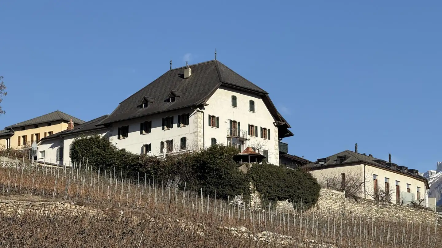 Appartement à louer - 1975 St-Séverin - Photo 2