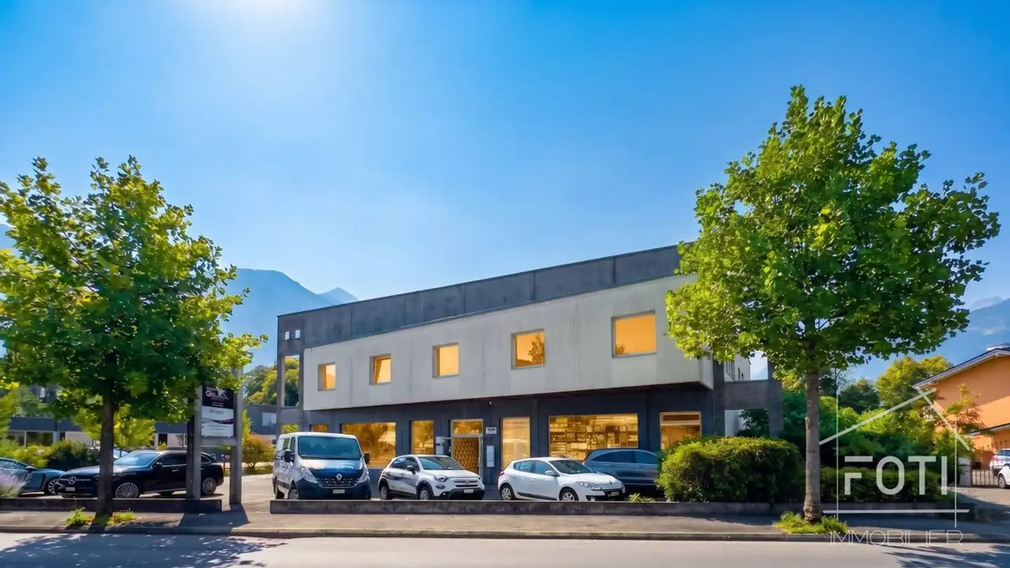 Commercial for sale - Rue Du Simplon 25, 1880 Bex