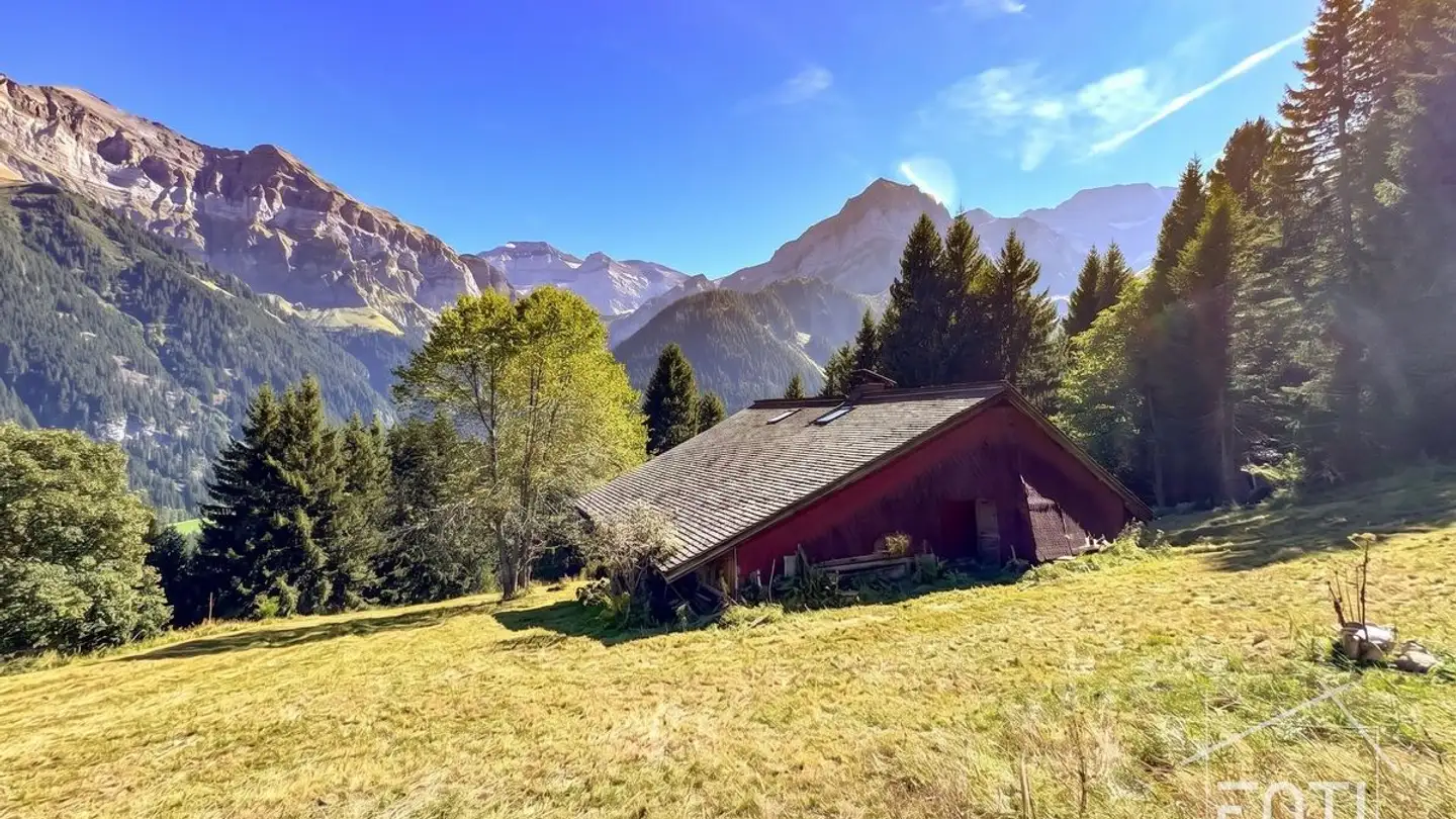 Chalet for sale - Route De Planachaux 62, 1874 Champéry