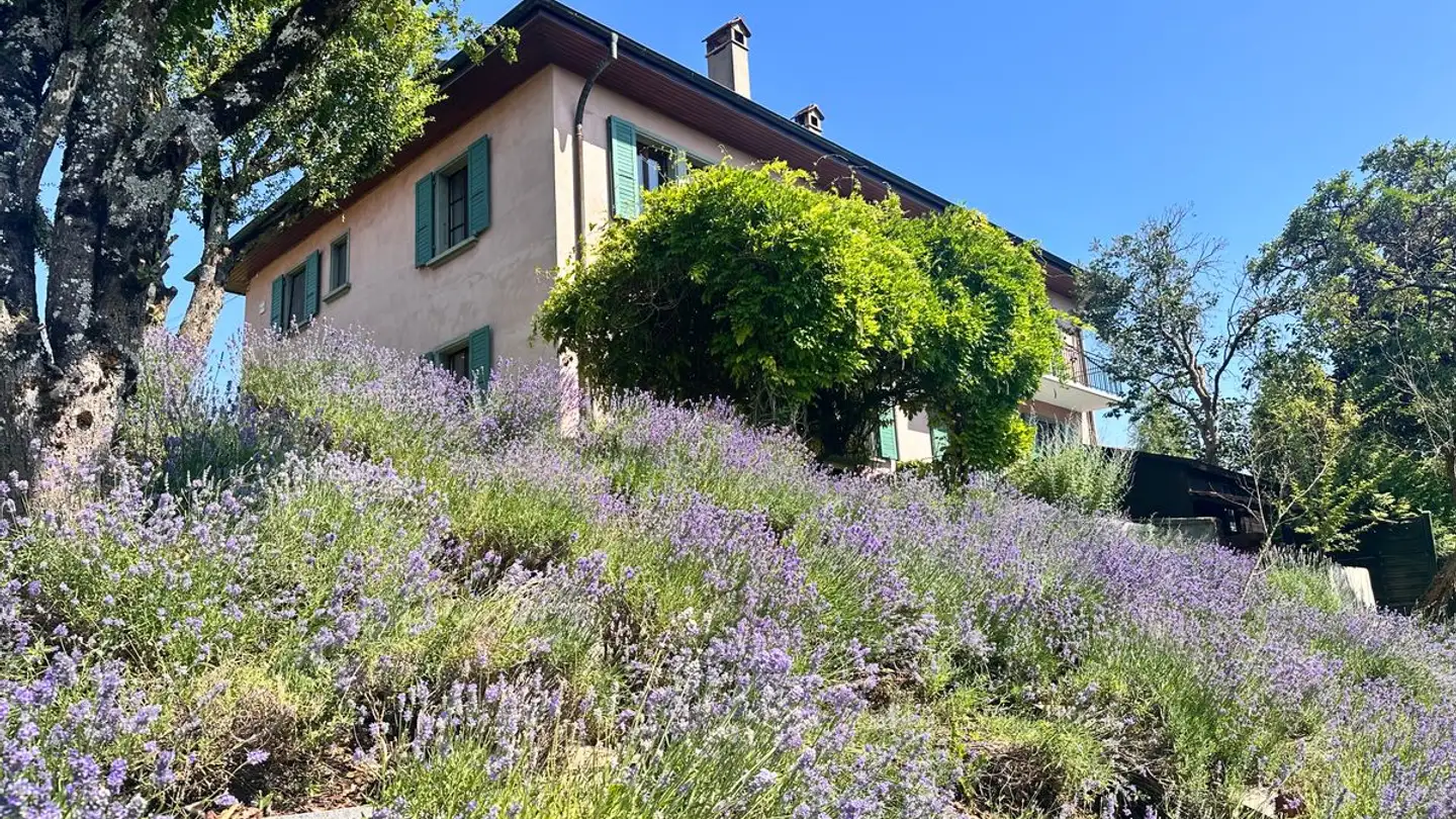 Casa singola in vendita - 1302 Vufflens-la-Ville - Photo 3