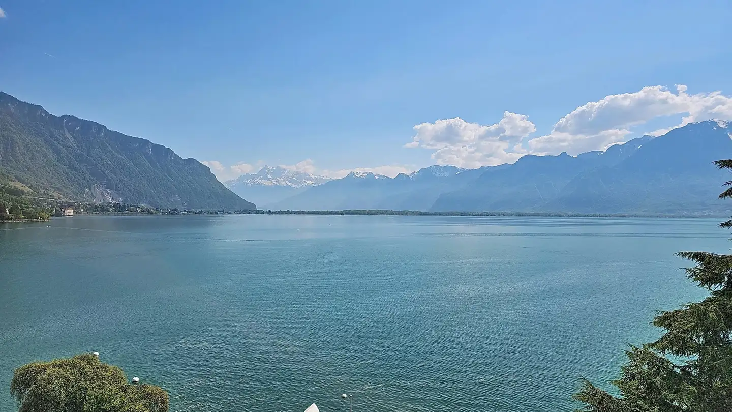 Apartment for sale - 1820 Montreux - Photo 2