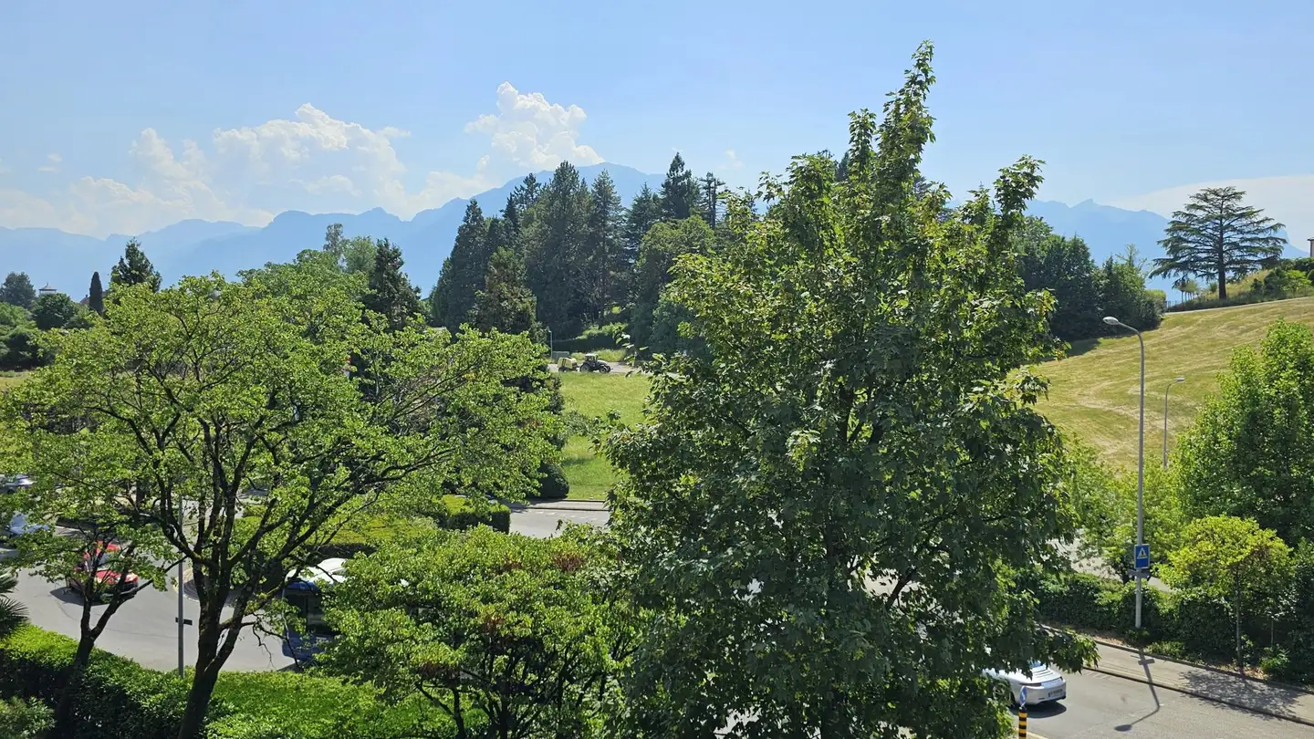 Wohnung kaufen - 1820 Montreux
