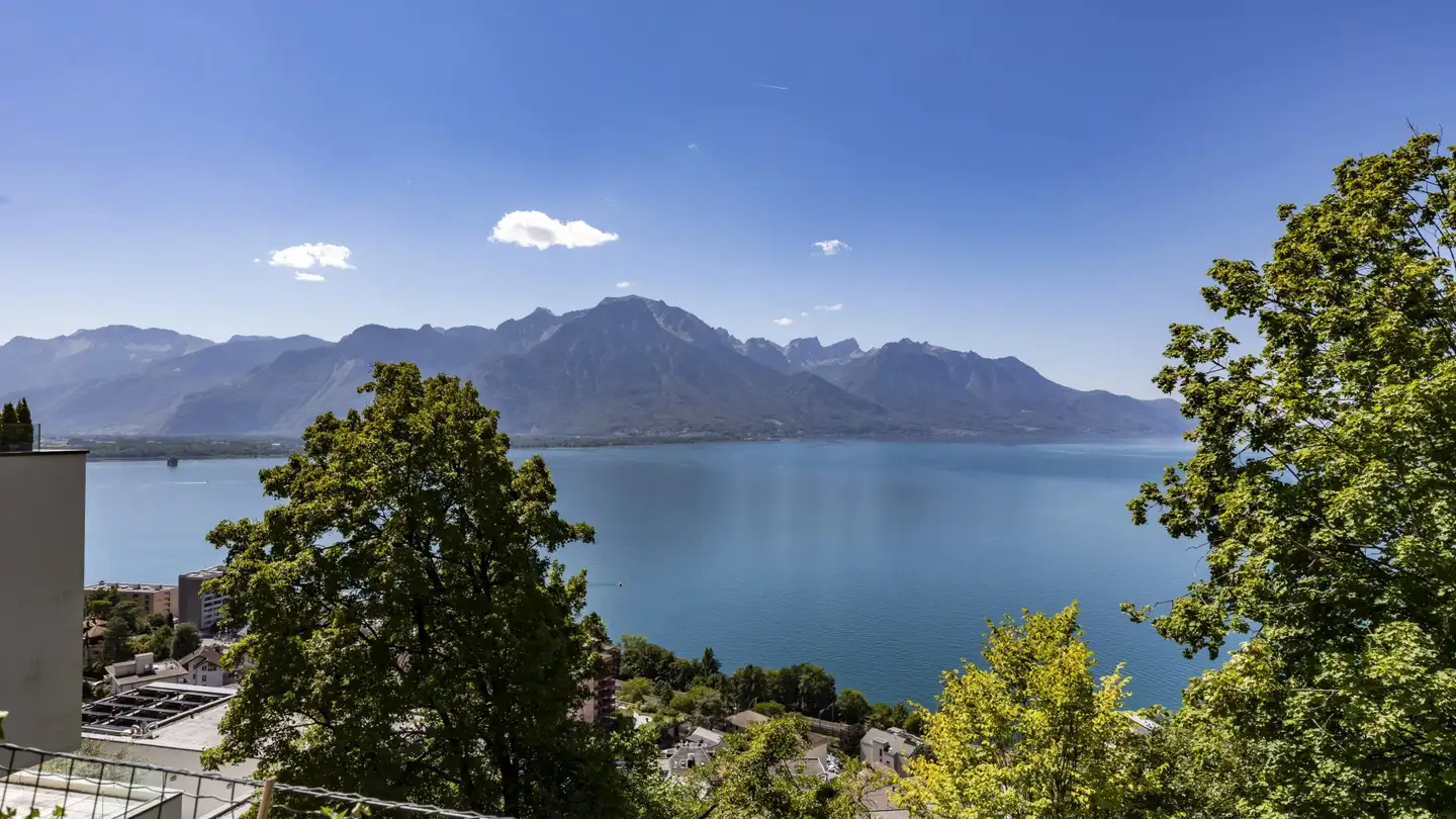 Apartment for sale - 1820 Montreux - Photo 4