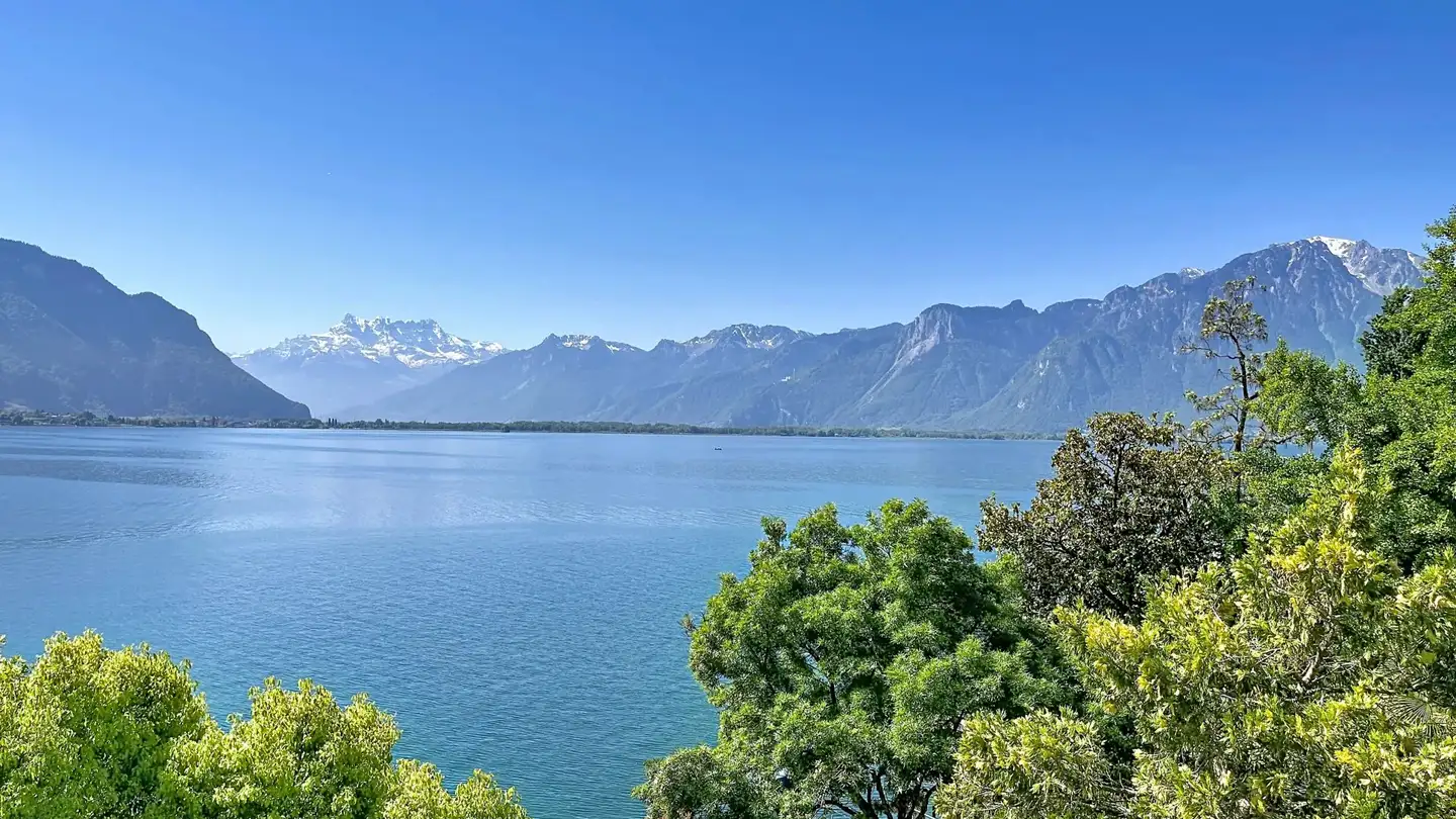 Bürofläche kaufen - 1820 Montreux - Foto 4