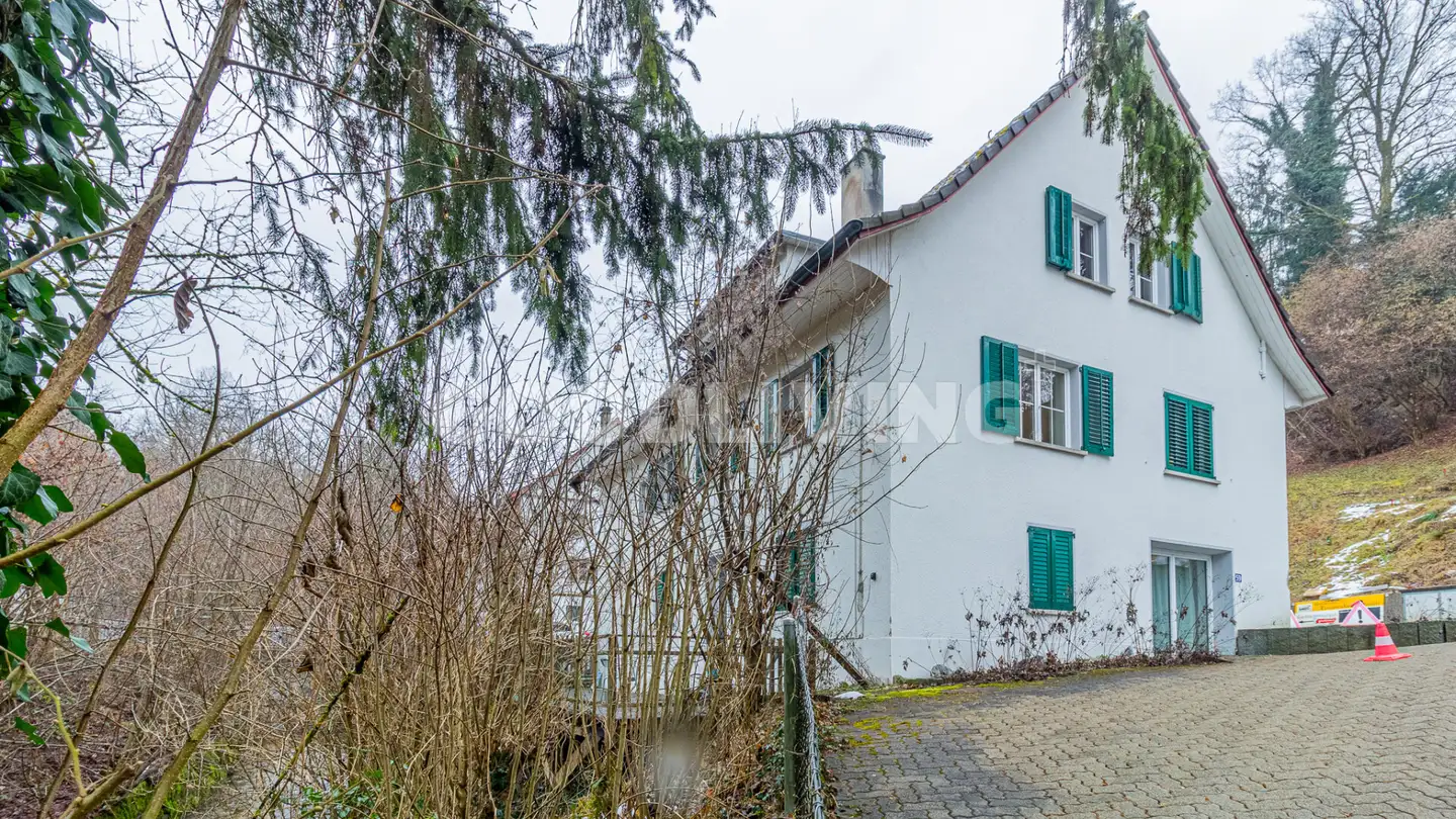 Single house for sale - 8125 Zollikerberg