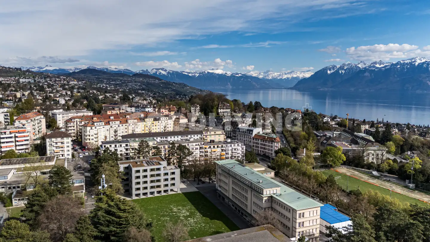 Residential building for sale - 1005 Lausanne
