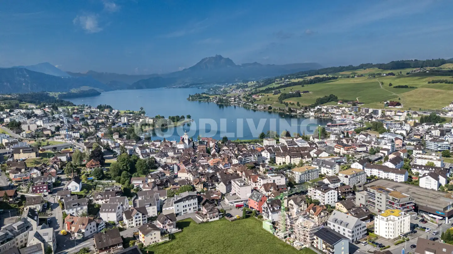 Maison individuelle à vendre - 6403 Küssnacht am Rigi