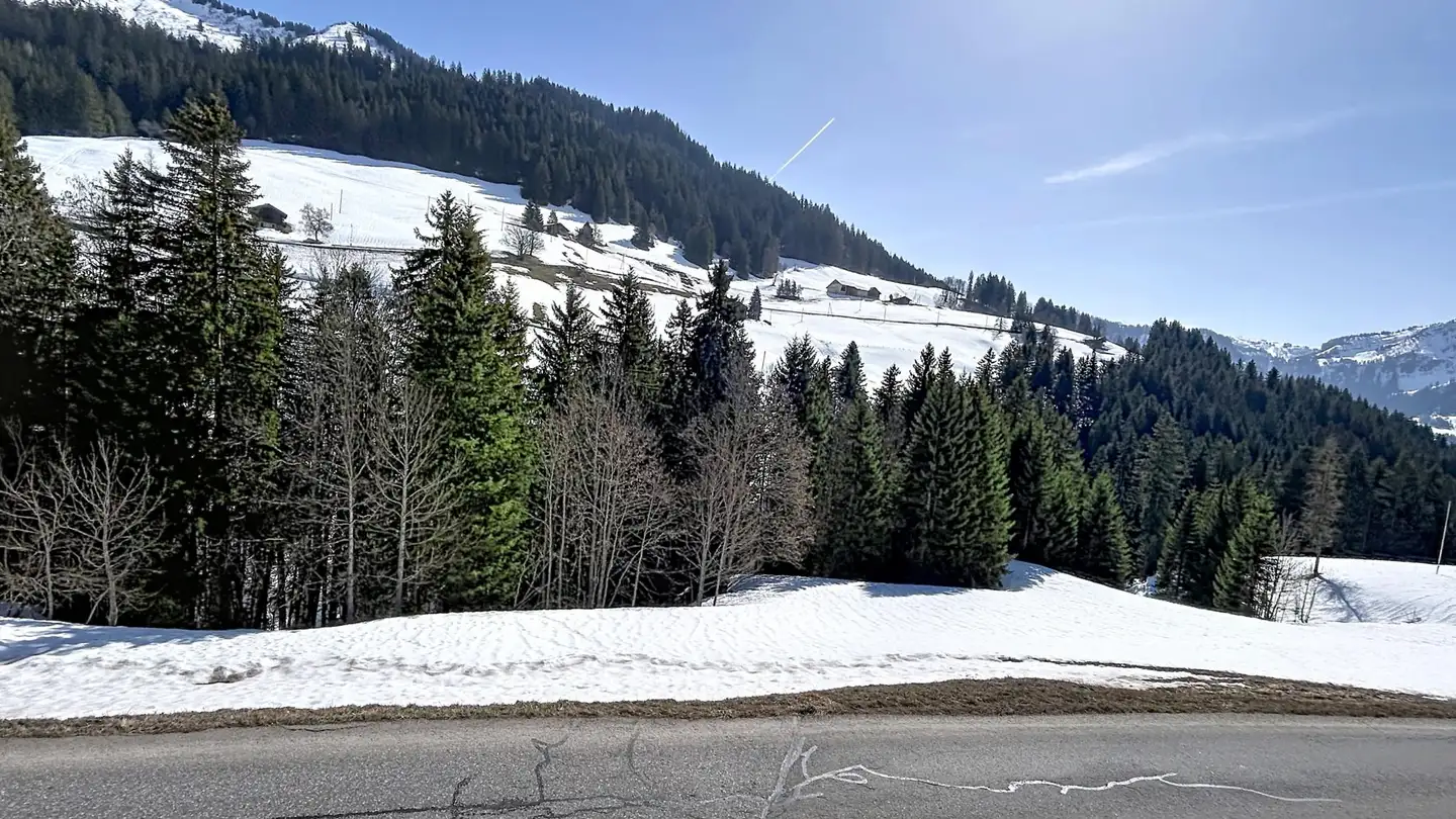 Chalet for sale - 1862 Les Mosses