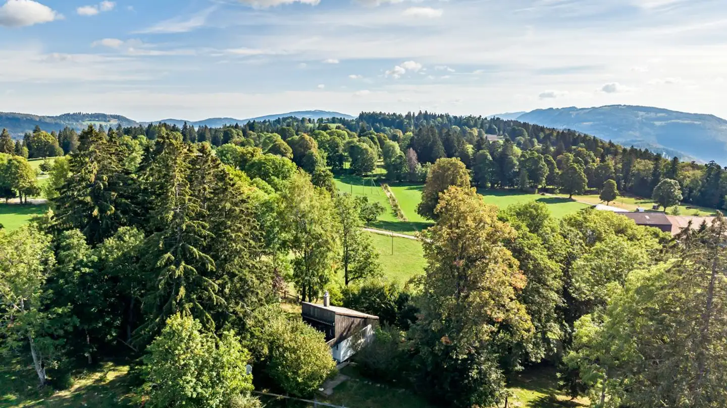 Chalet kaufen - Le Jeanbrenin 91, 2720 La Tanne
