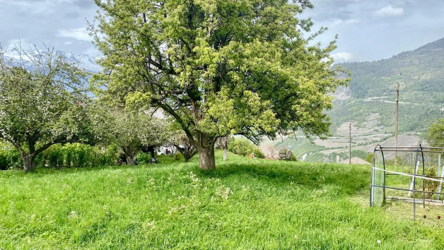 Terreno edificabile in vendita - 1981 Vex