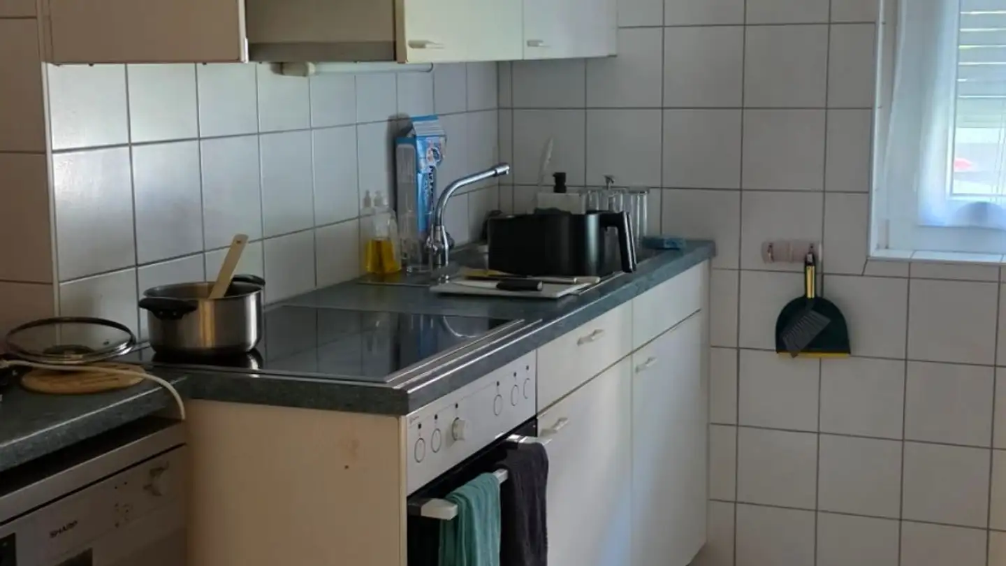 Appartamento in affitto - Chemin Du Vanil 4, 1006 Lausanne