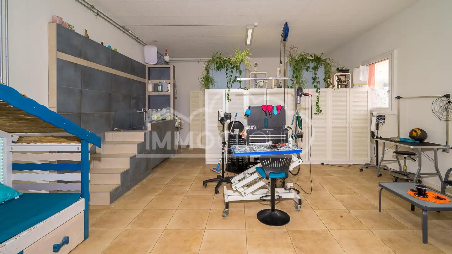 Arcade for sale - 1041 Poliez-Pittet