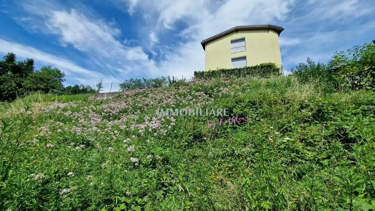 Terrain constructible à vendre - Via Alla Cava 21, 6947 Vaglio - Photo 4