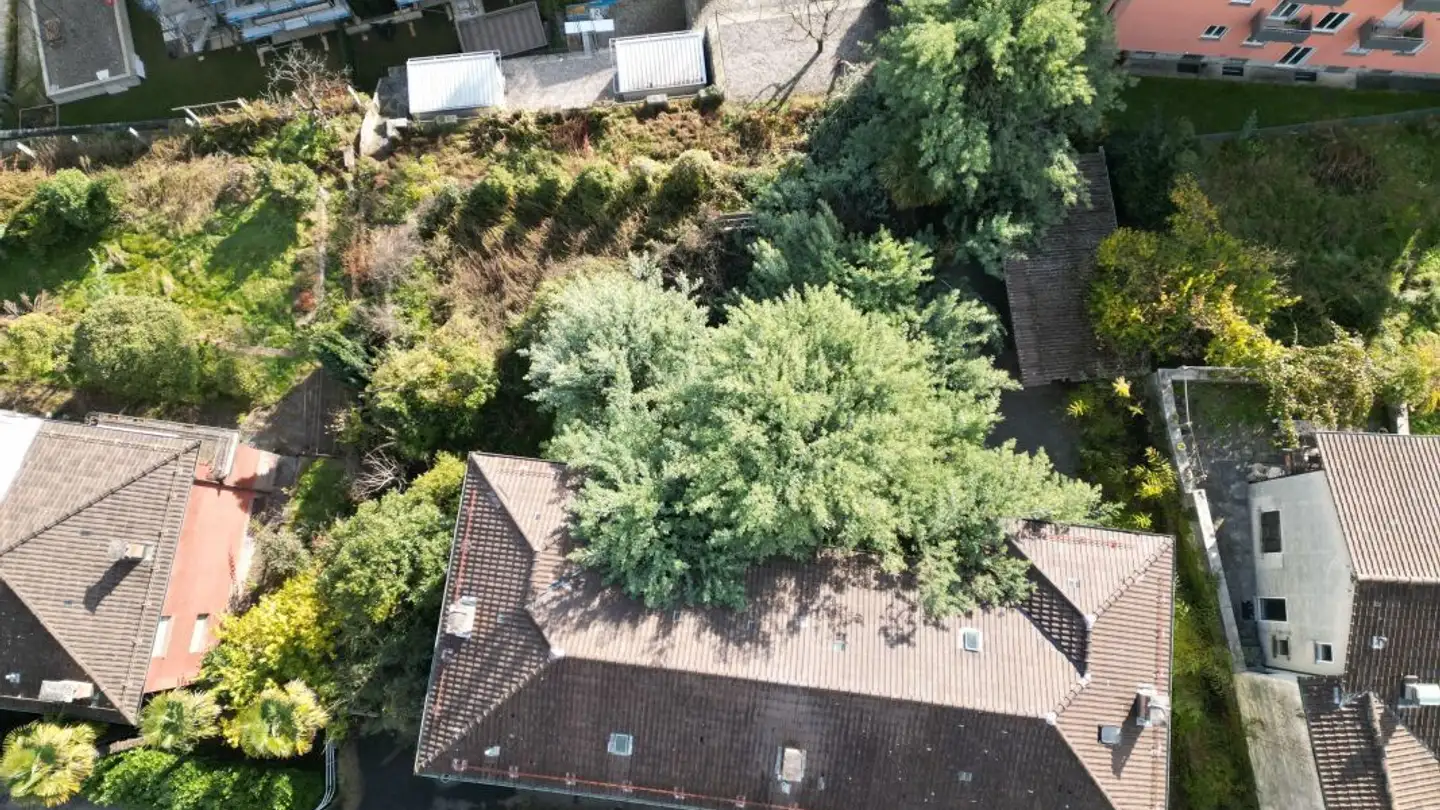 Terrain constructible à vendre - 6600 Muralto - Photo 3