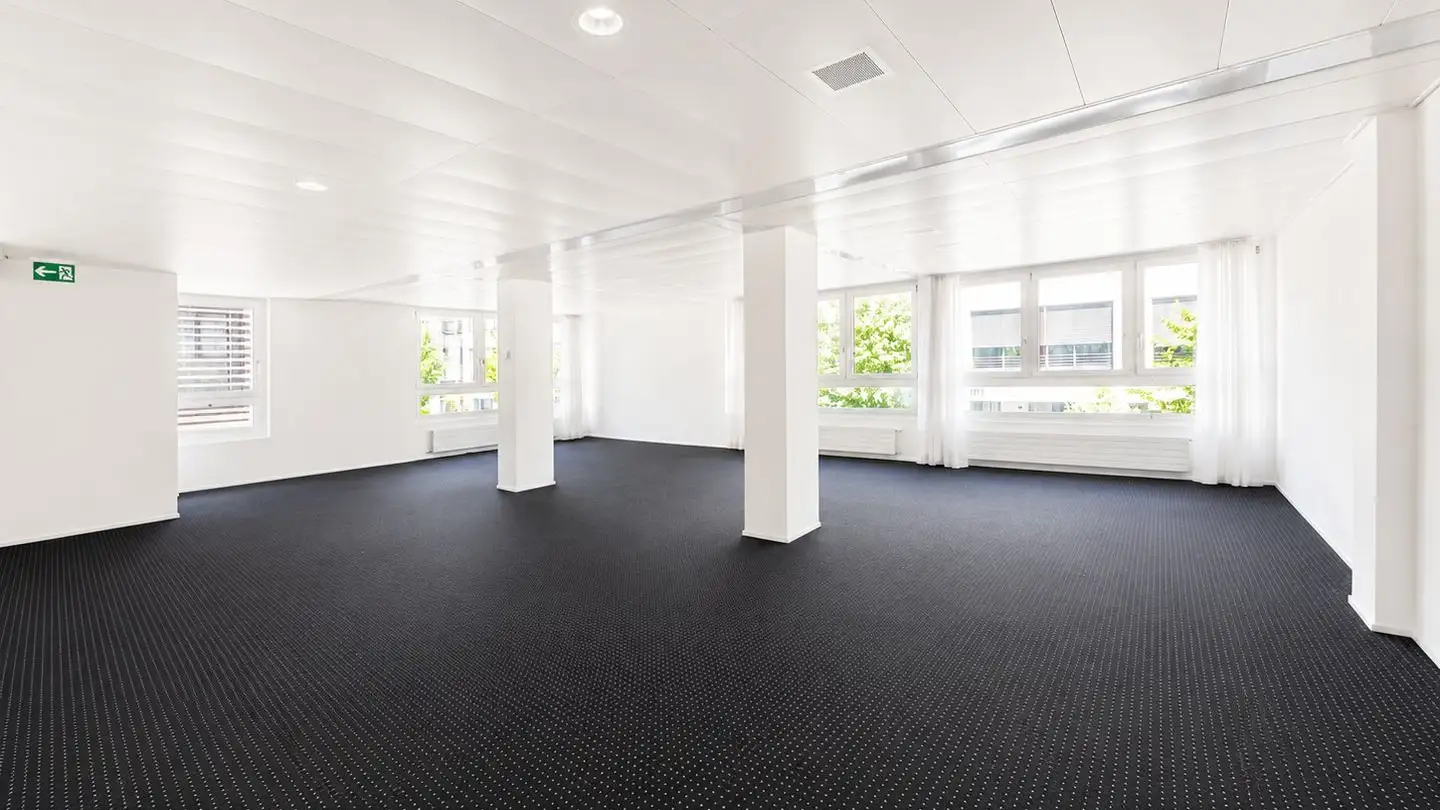 Gewerbe mieten - Viale Bartolomeo Papio 6, 6612 Ascona