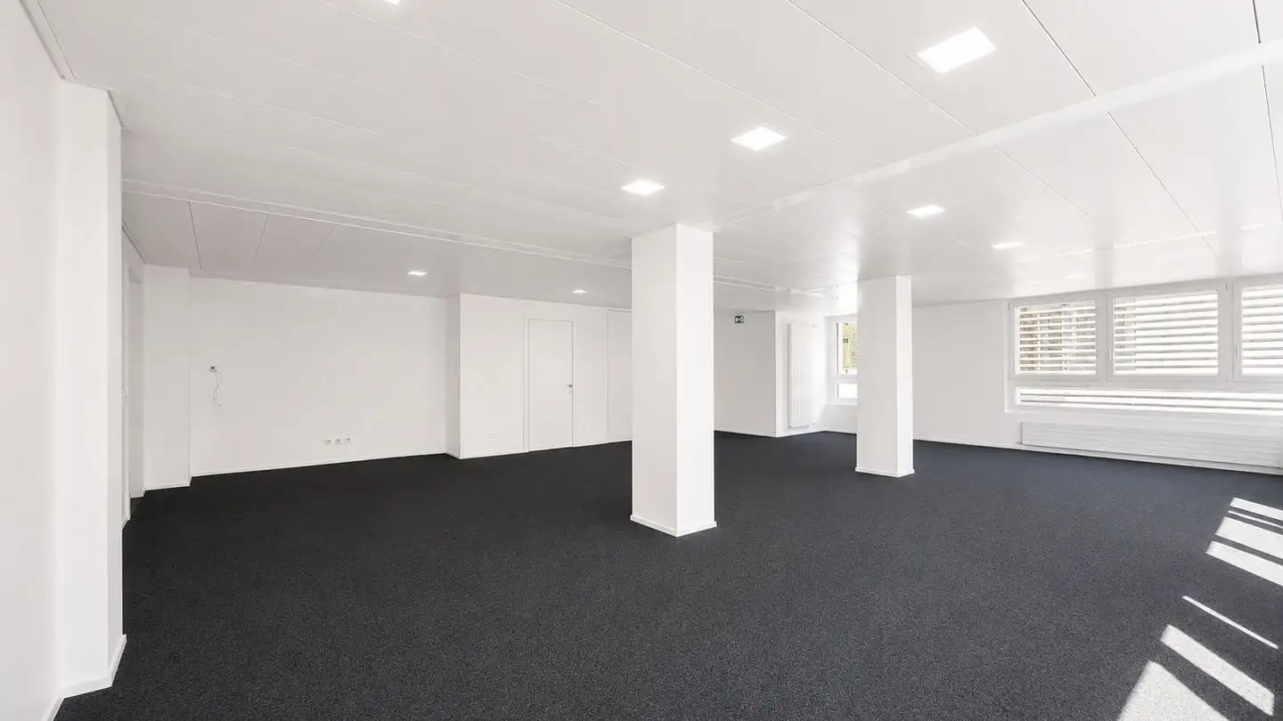 Gewerbe mieten - Viale Bartolomeo Papio 6, 6612 Ascona - Foto 4