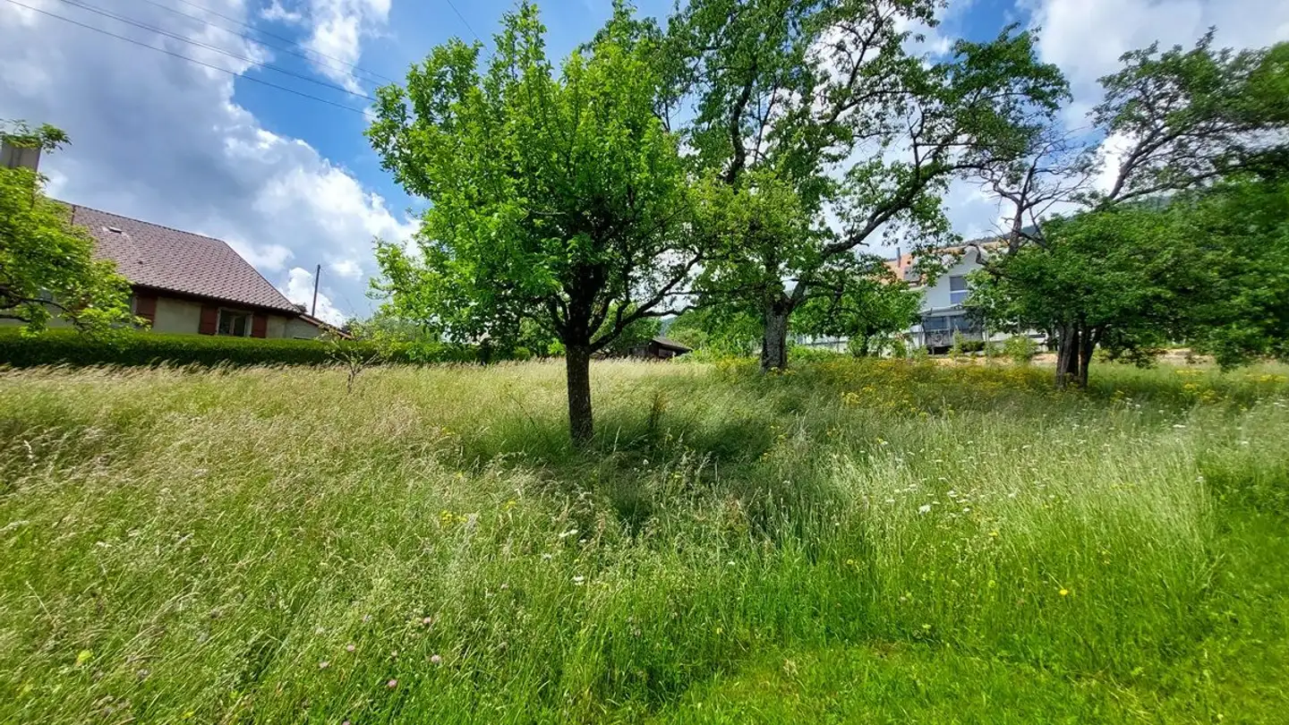 Fattoria in vendita - 1428 Mutrux - Foto 4