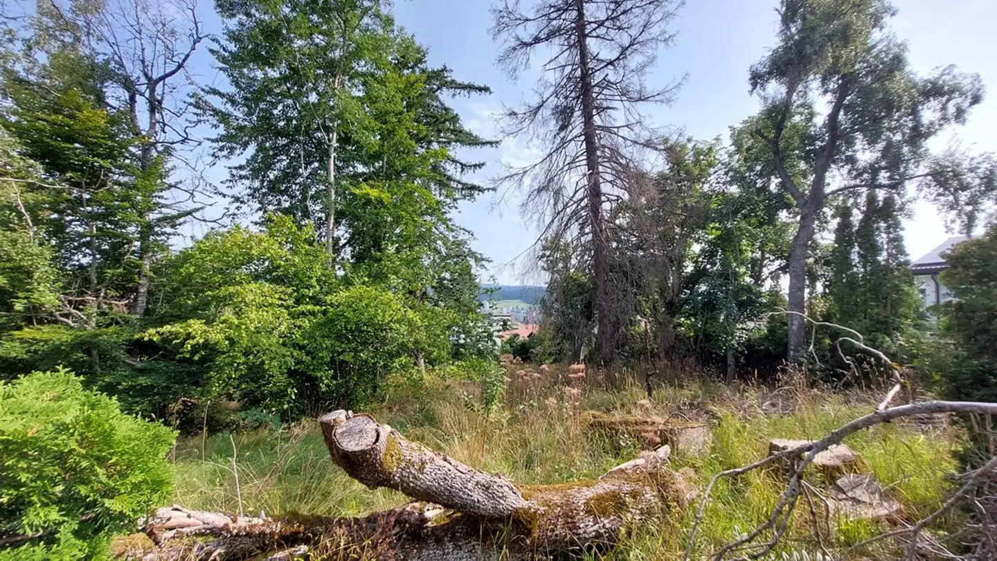 Constructible plot for sale - 2300 La Chaux-de-Fonds - Photo 3