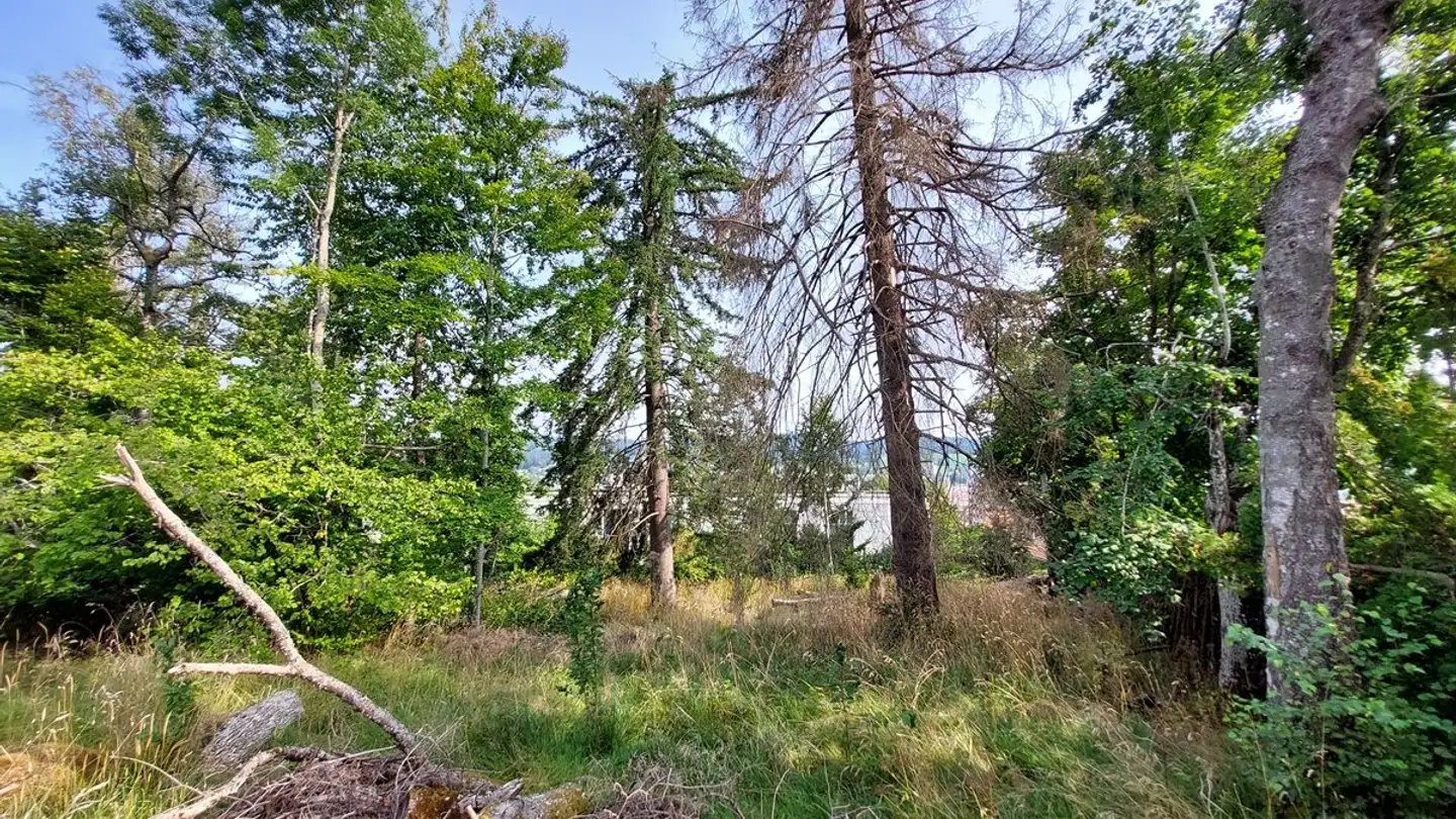 Constructible plot for sale - 2300 La Chaux-de-Fonds - Photo 2