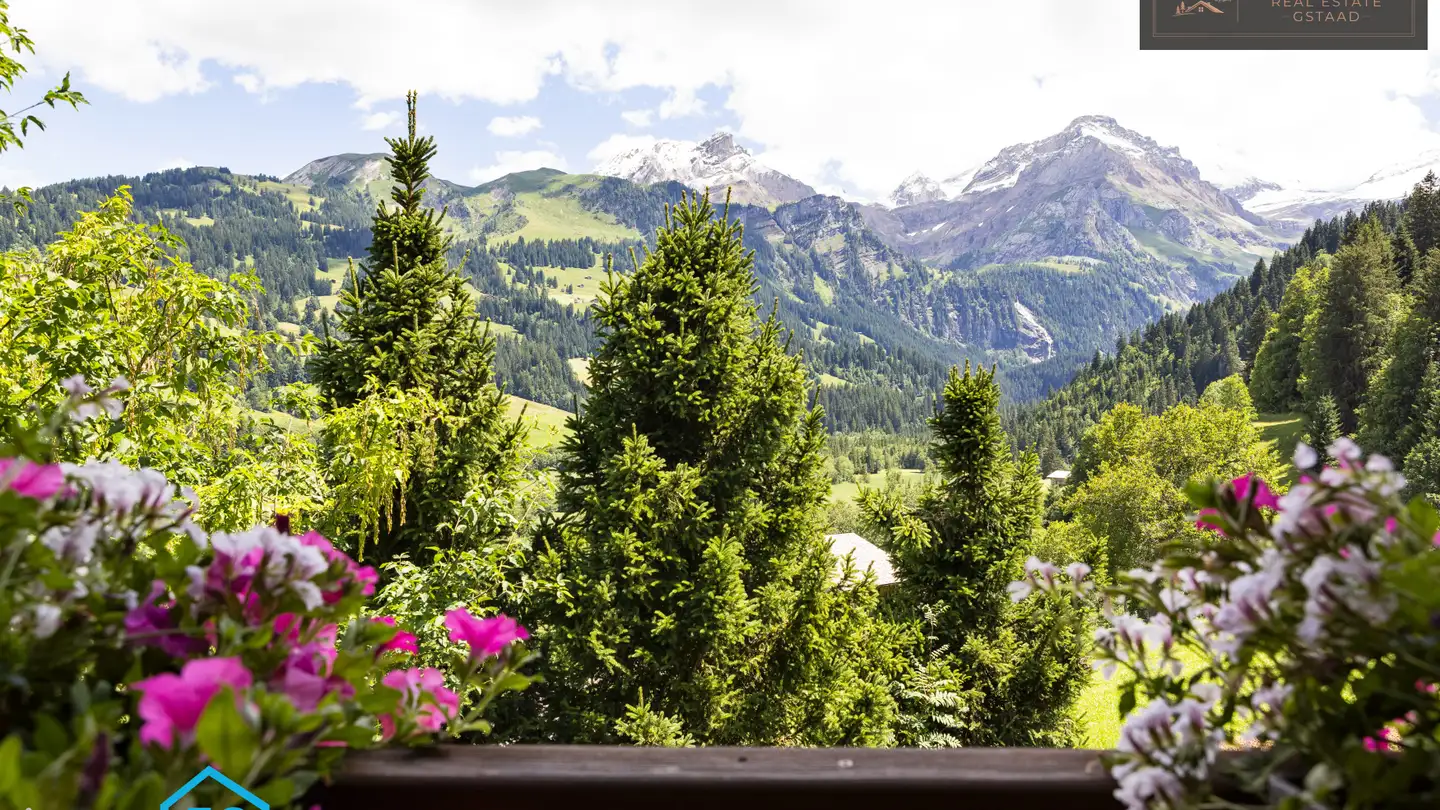 Chalet in vendita - 3782 Lauenen b. Gstaad