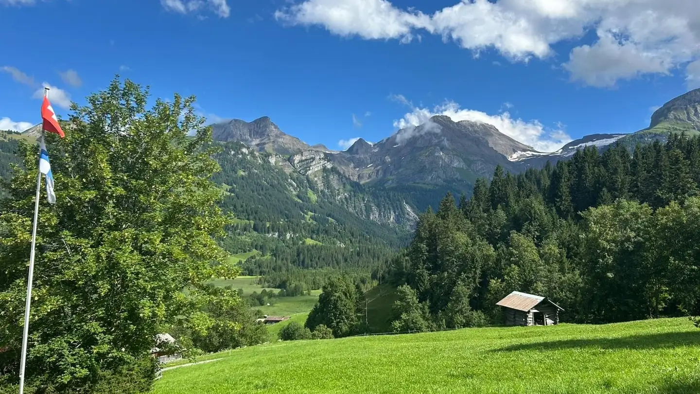 Chalet à vendre - 3782 Lauenen b. Gstaad - Photo 2