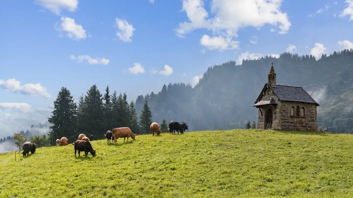Studio in vendita - Route Des Crosets, 1873 Val-d'Illiez - Photo 2