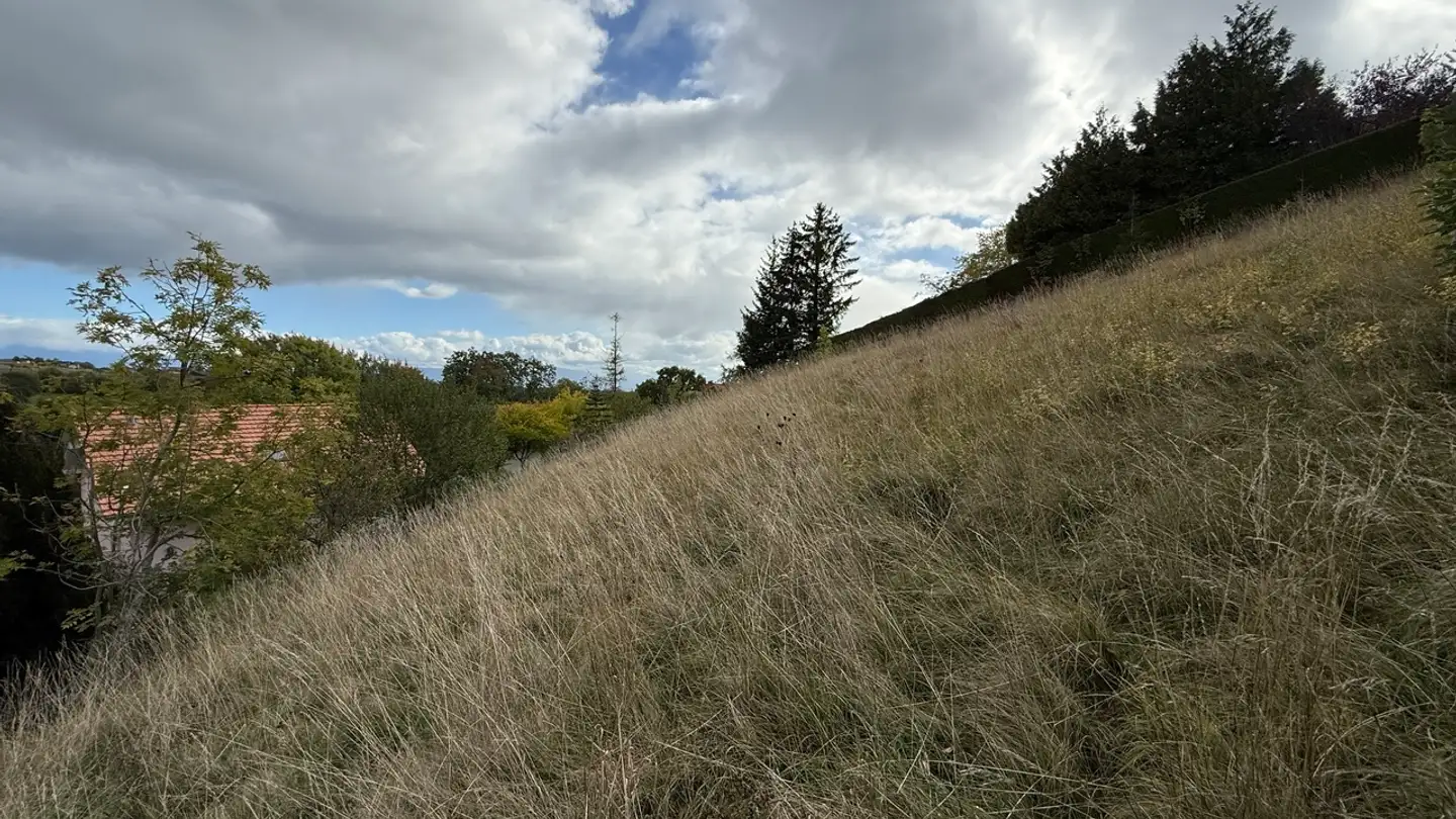 Terreno edificabile in vendita - 1261 Le Vaud - Photo 3