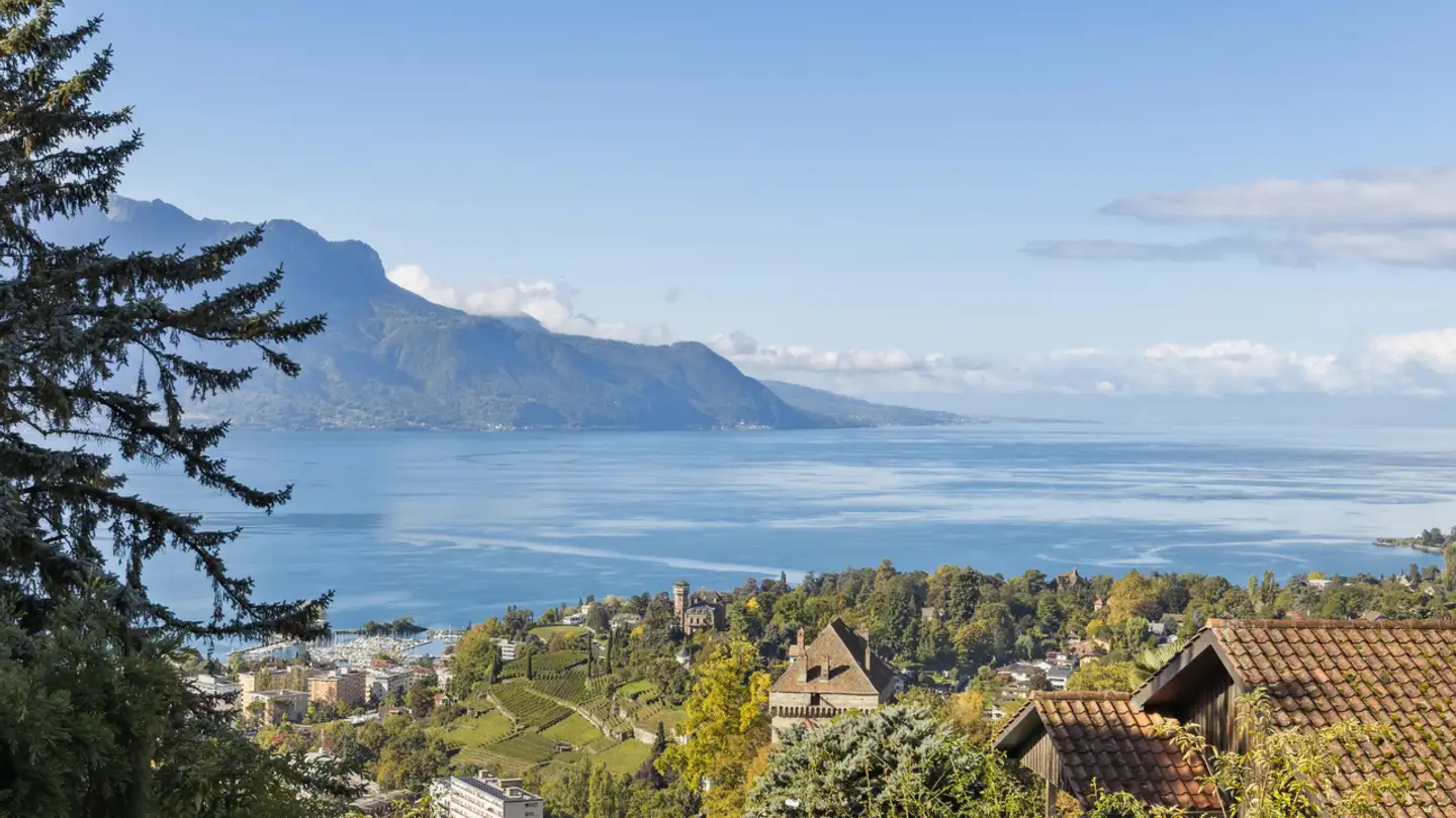 Casa singola in vendita - 1820 Montreux - Photo 2