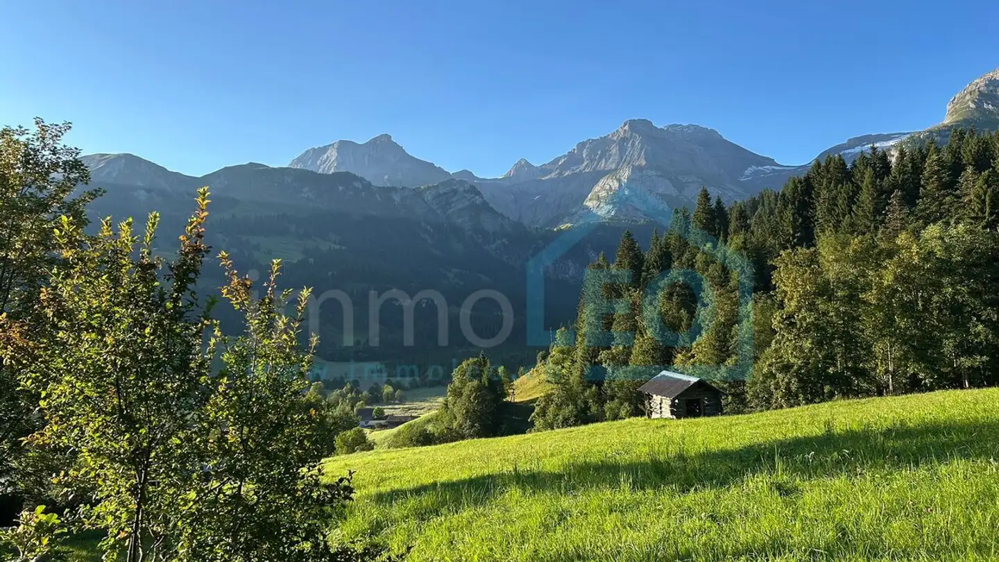 Chalet in vendita - 3782 Lauenen b. Gstaad - Photo 4