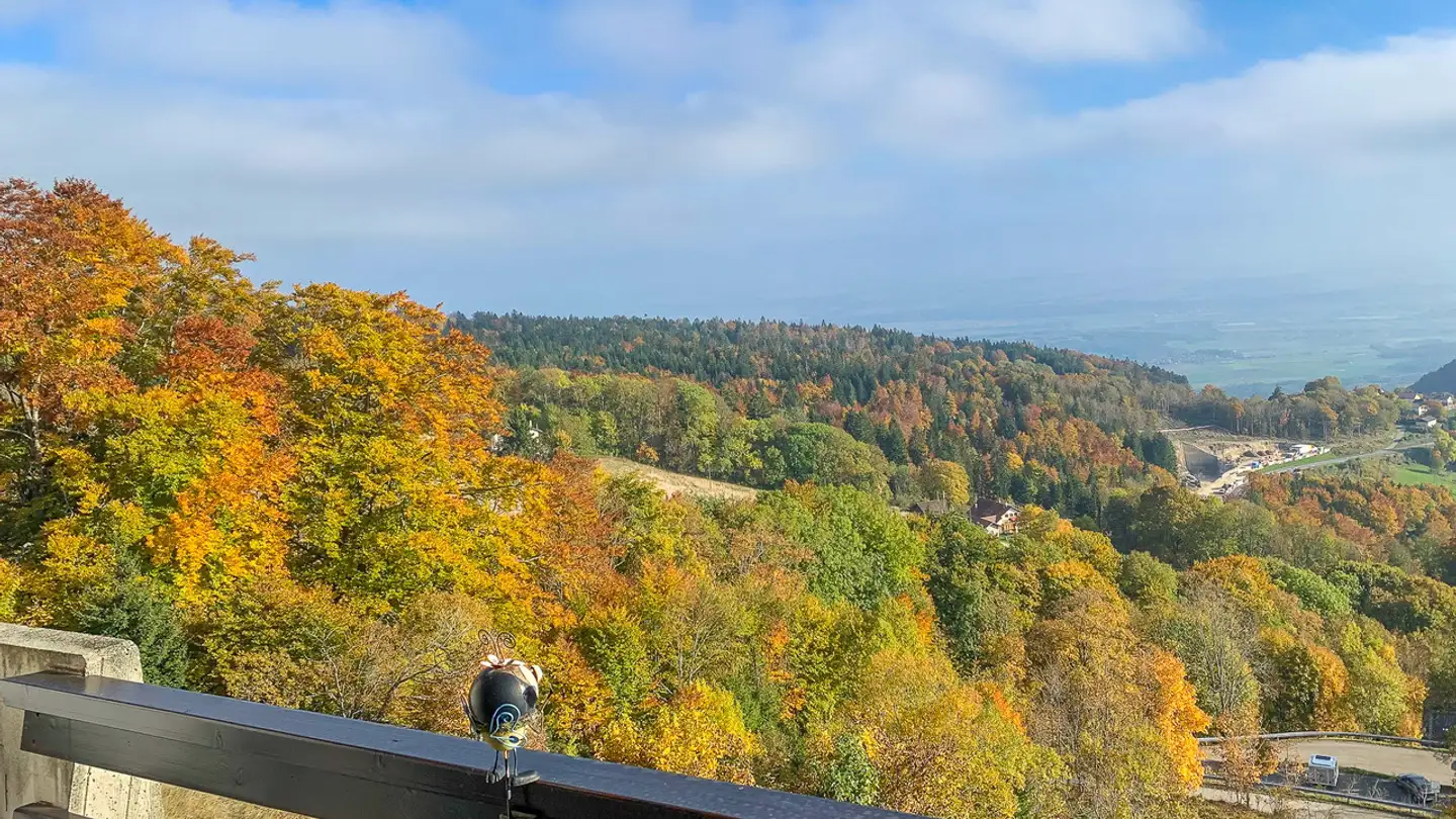 Appartement à vendre - Chemin Du Belvédère 10, 1450 Ste-Croix - Photo 4