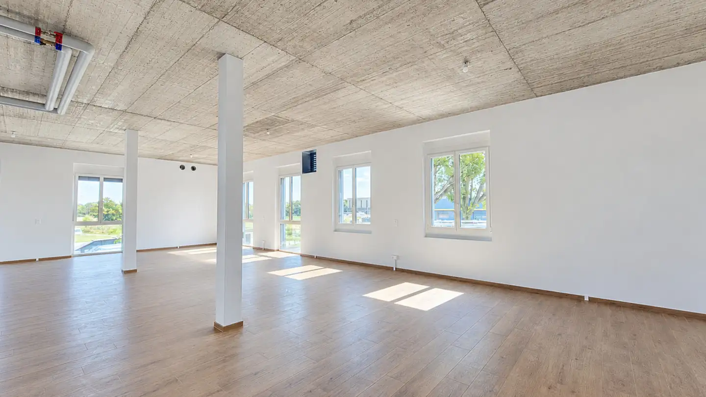 Commercial for rent - Impasse De La Fava 1, 1566 St-Aubin FR - Photo 4